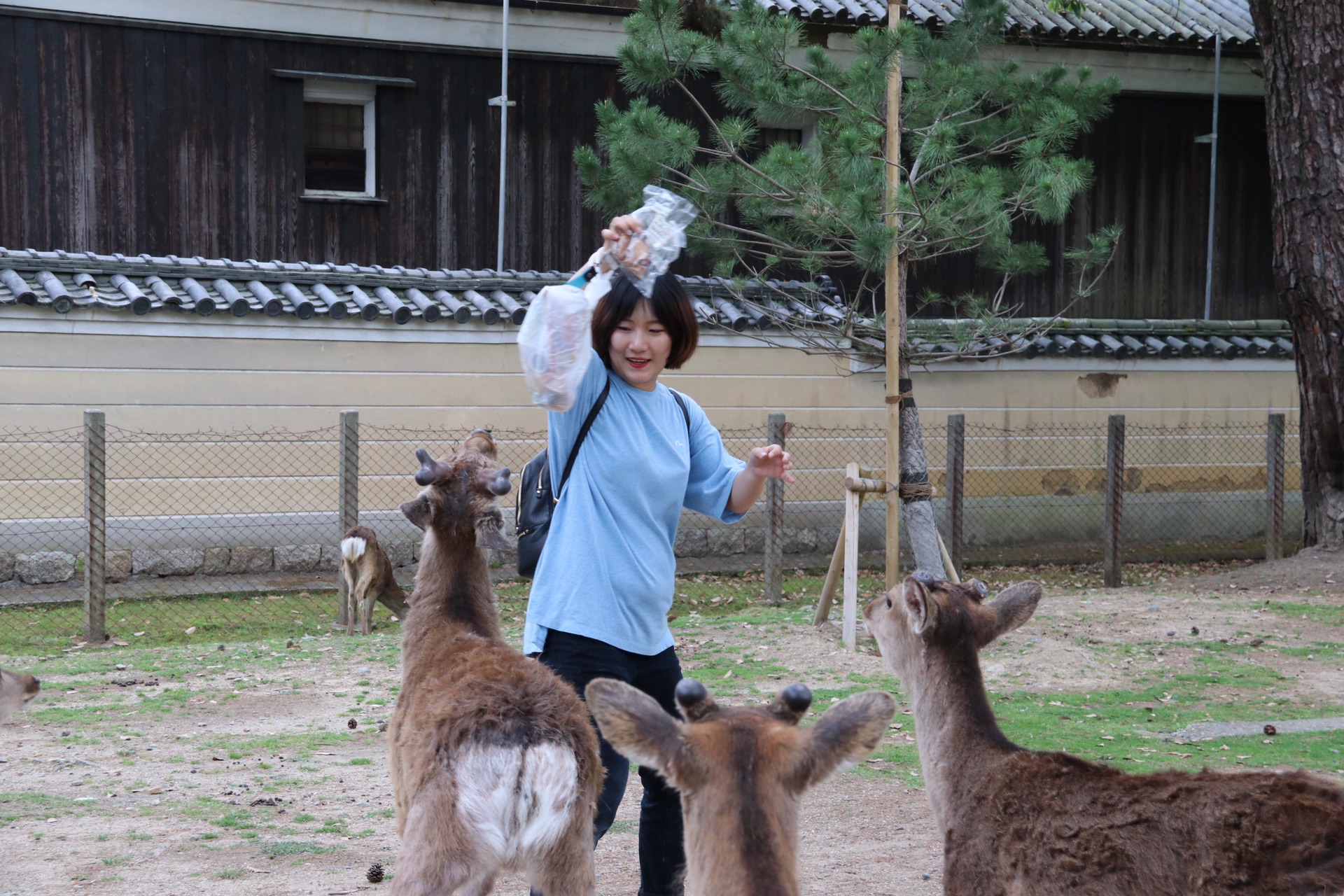 北海道自助遊攻略