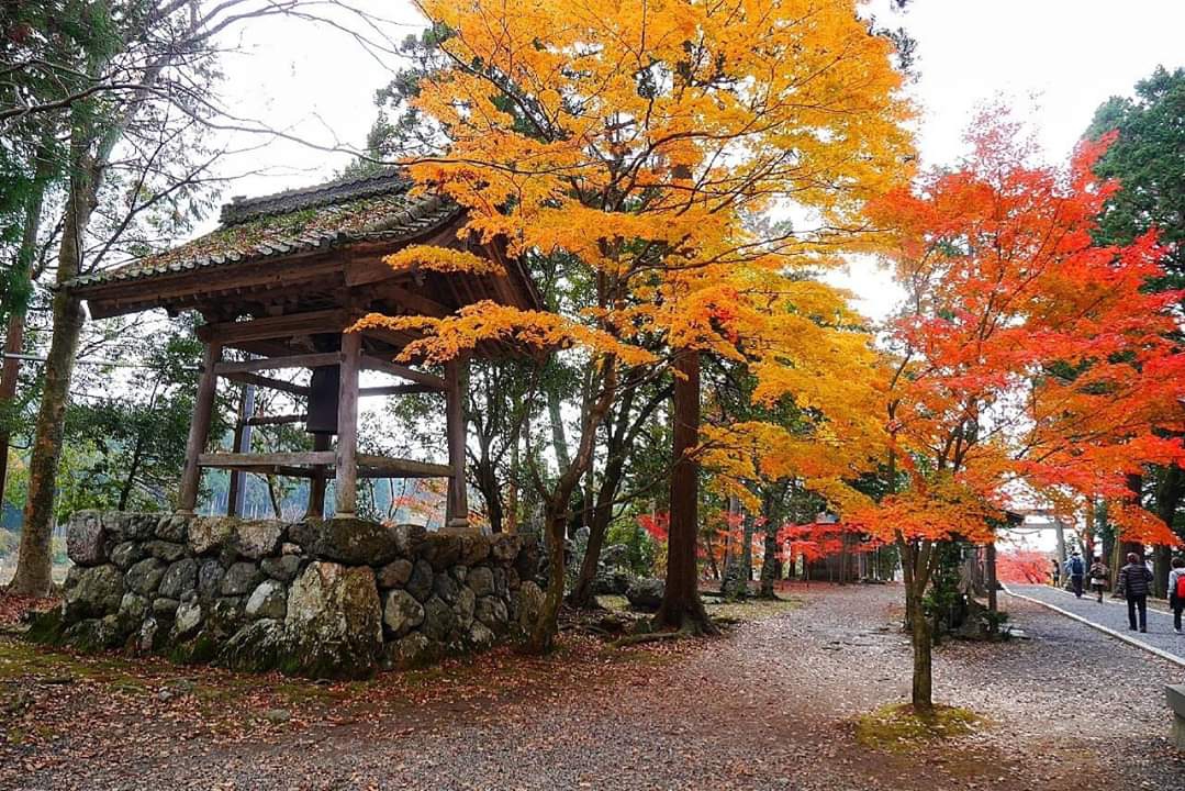 京都自助遊攻略