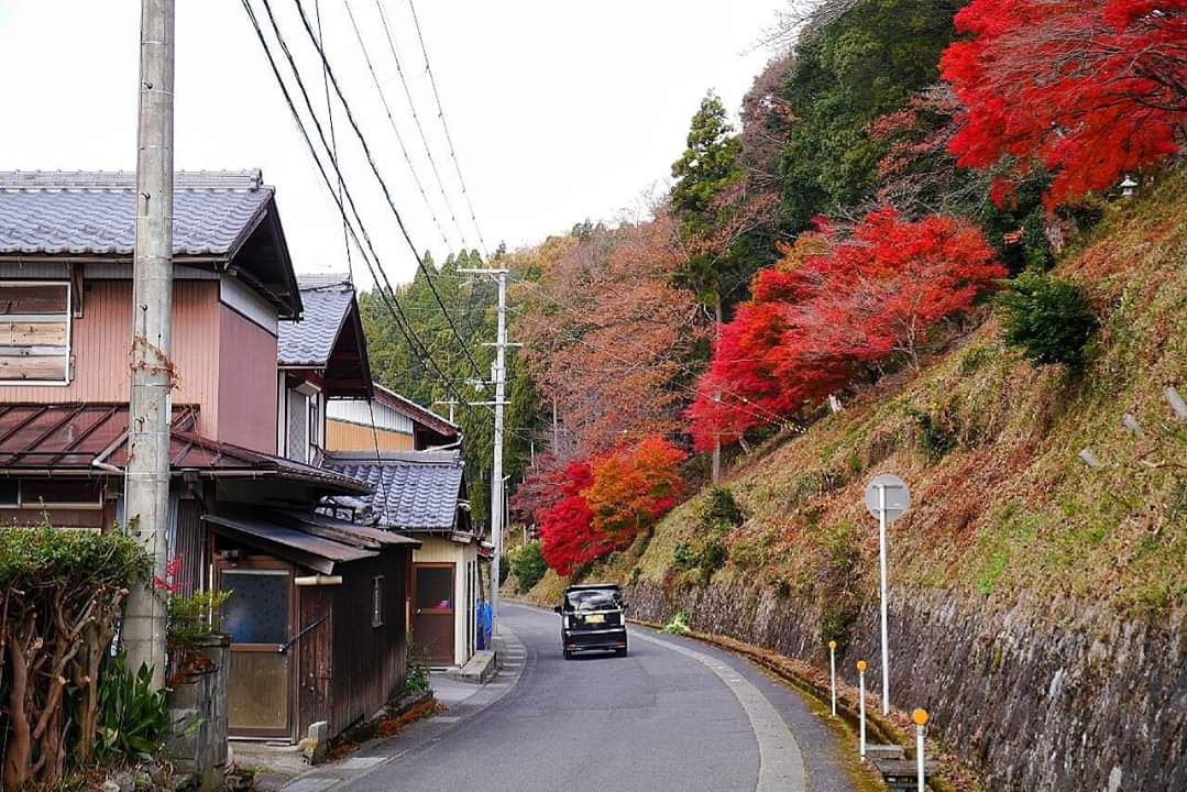 京都自助遊攻略