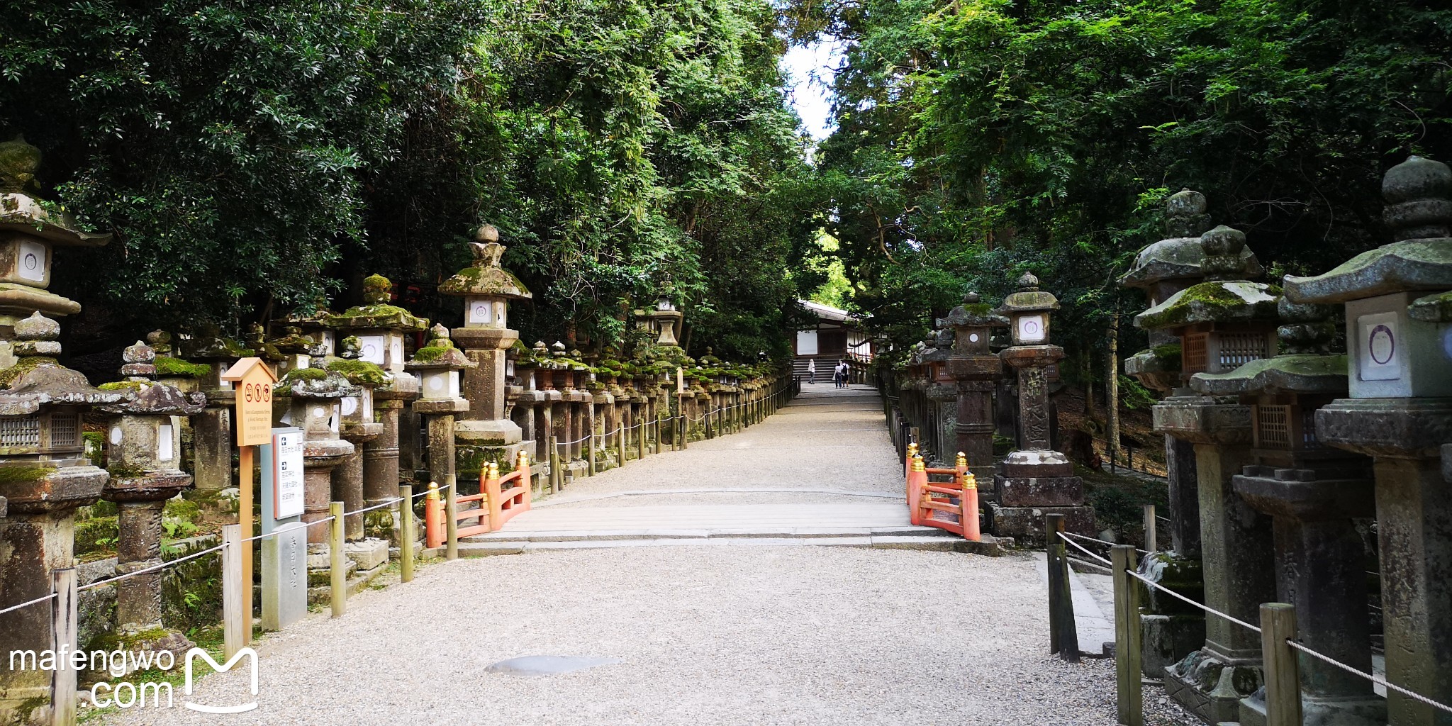 京都自助遊攻略