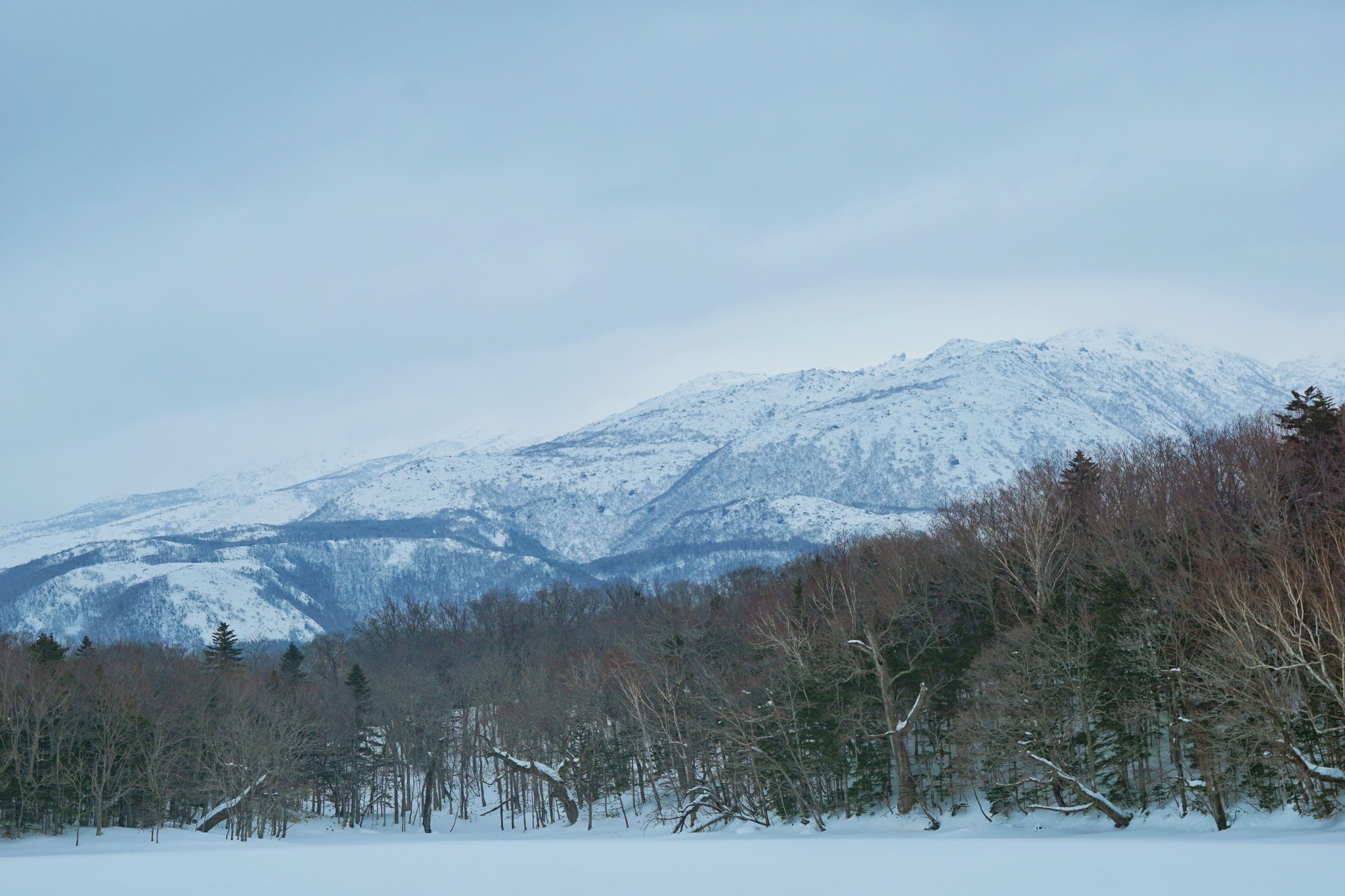 北海道自助遊攻略