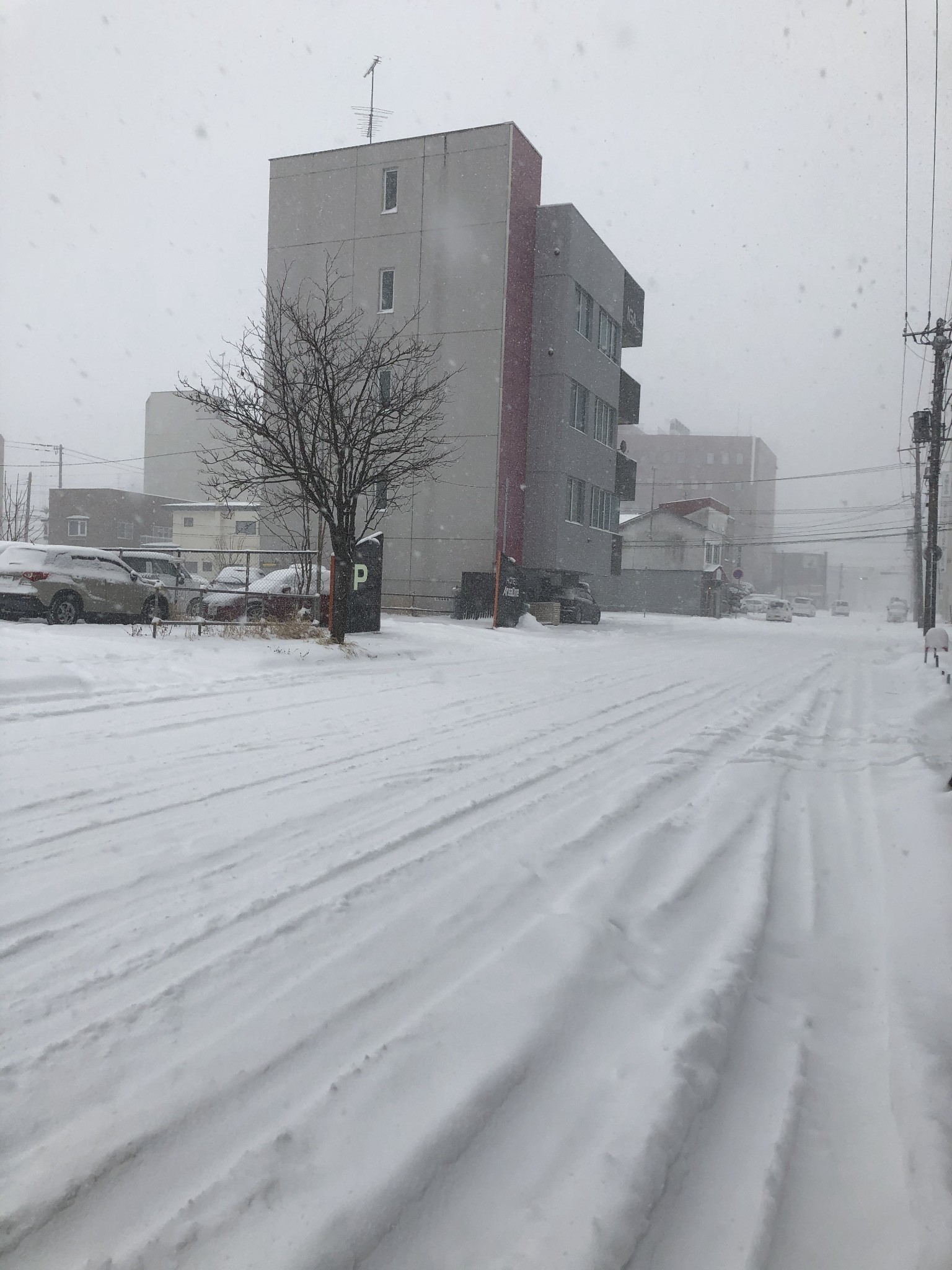 北海道自助遊攻略