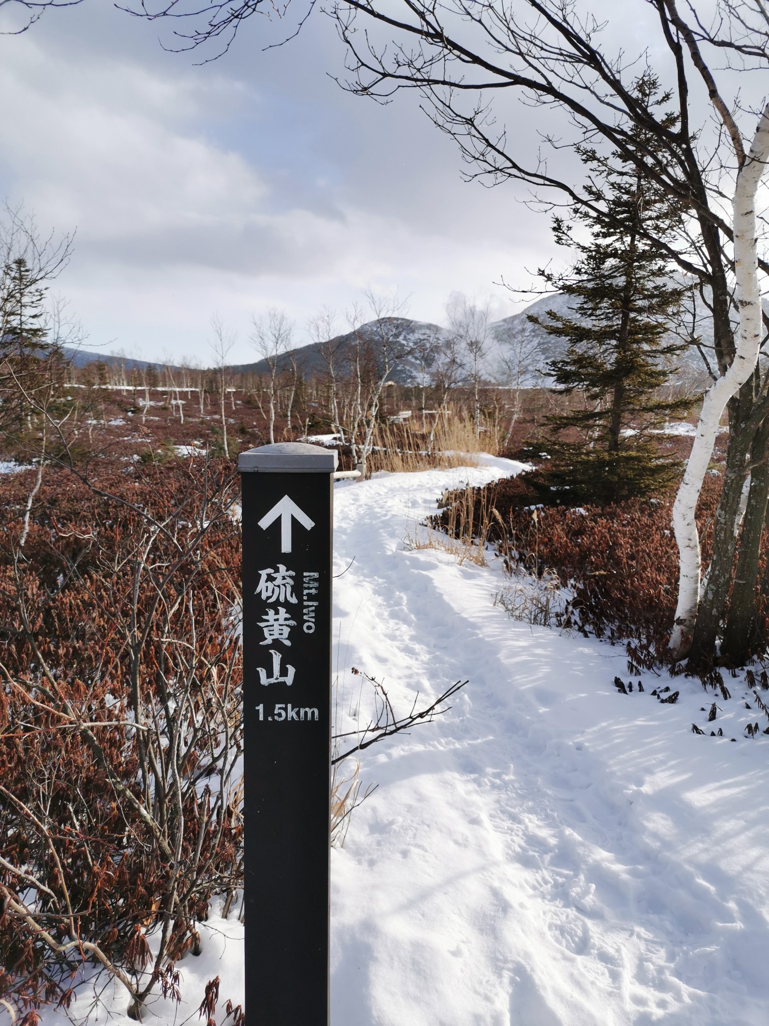 北海道自助遊攻略