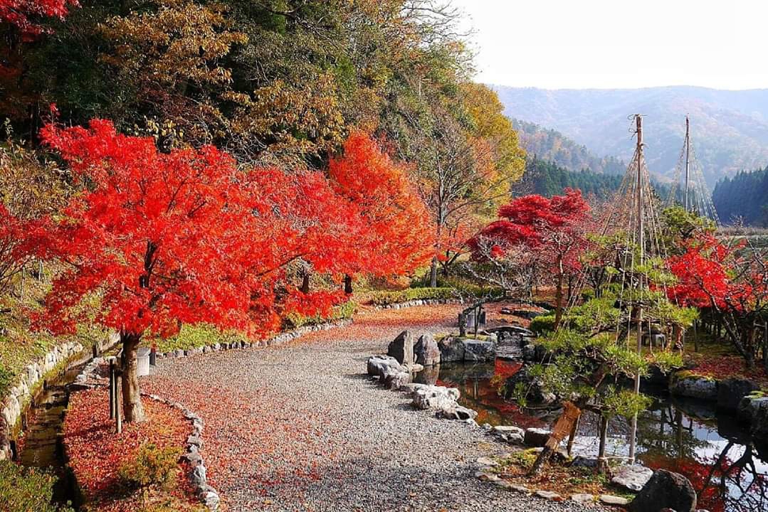 京都自助遊攻略