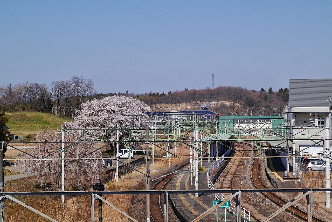 福島市自助遊攻略