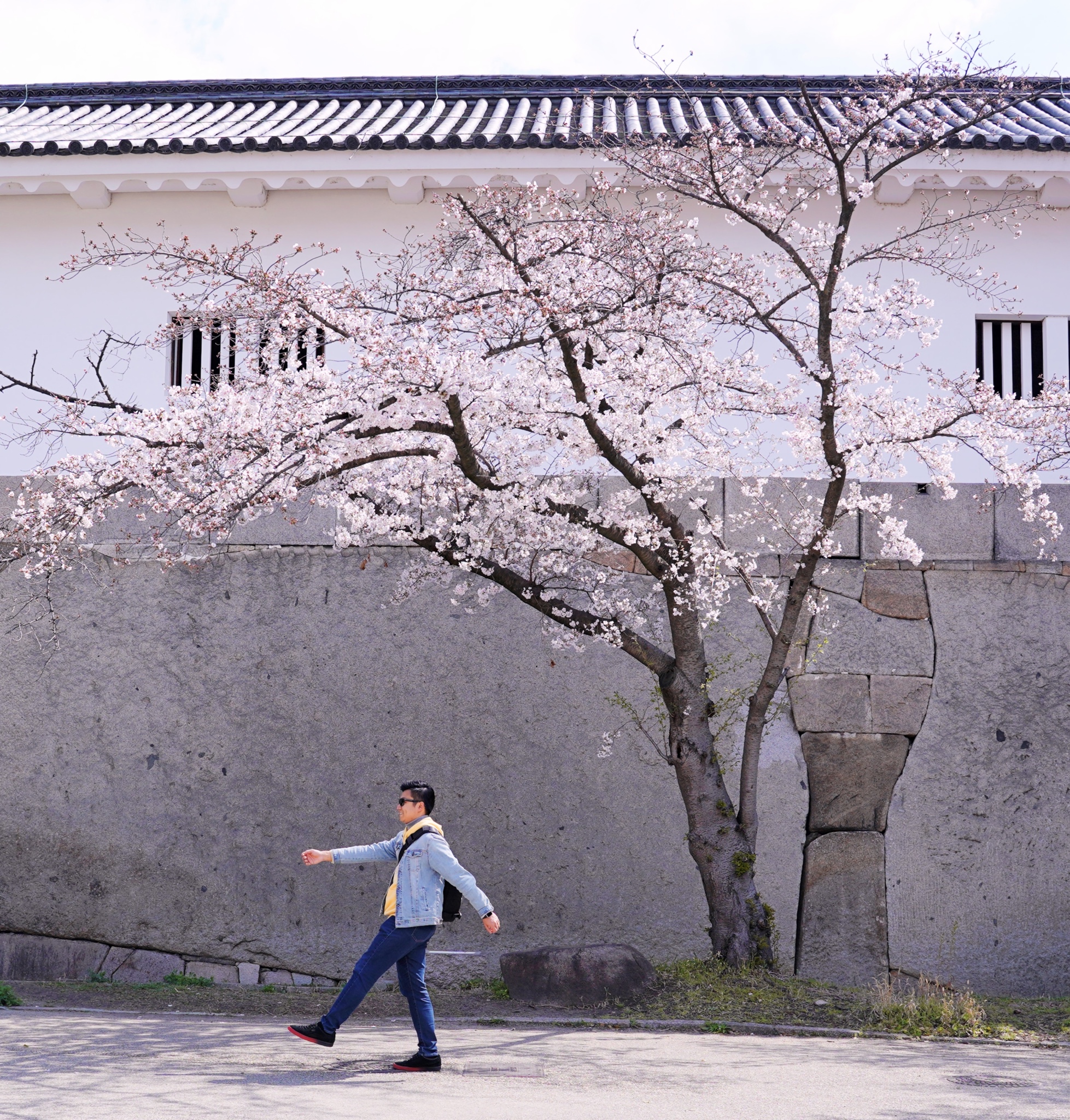 京都自助遊攻略