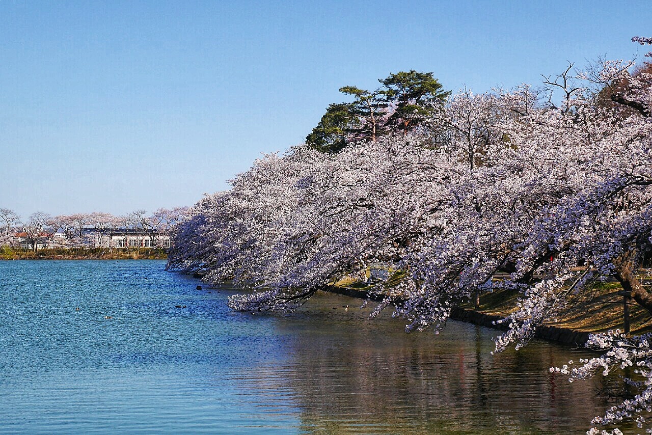 福島市自助遊攻略