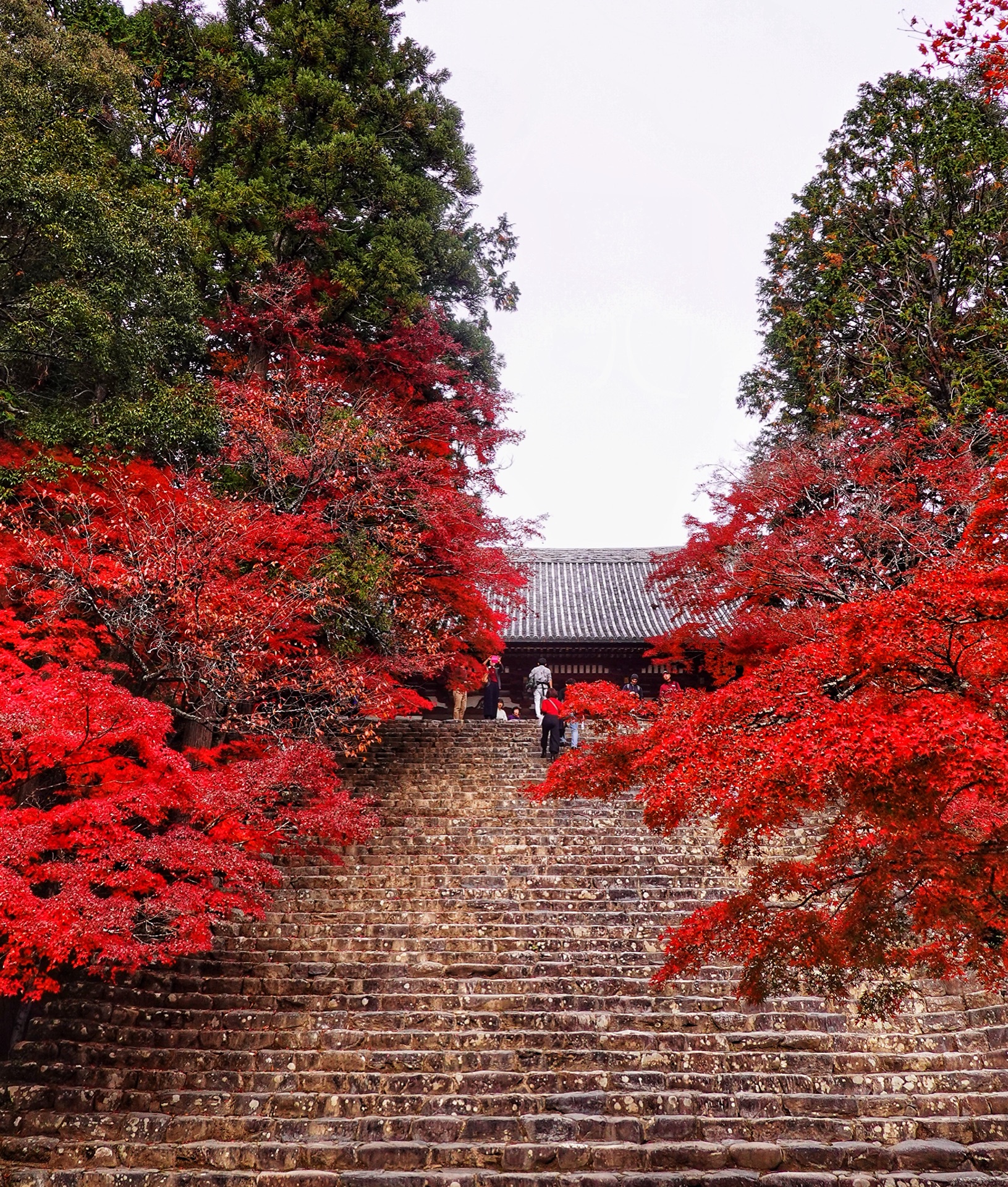 京都自助遊攻略