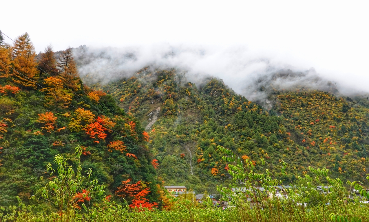 转山会四川汶川卧龙关彩林徒步