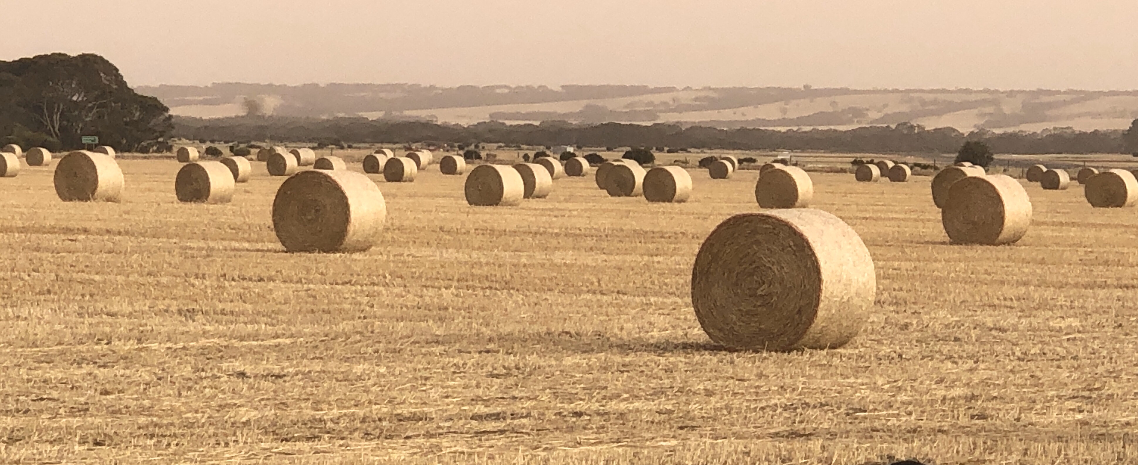 Chinta Air Chinta Air