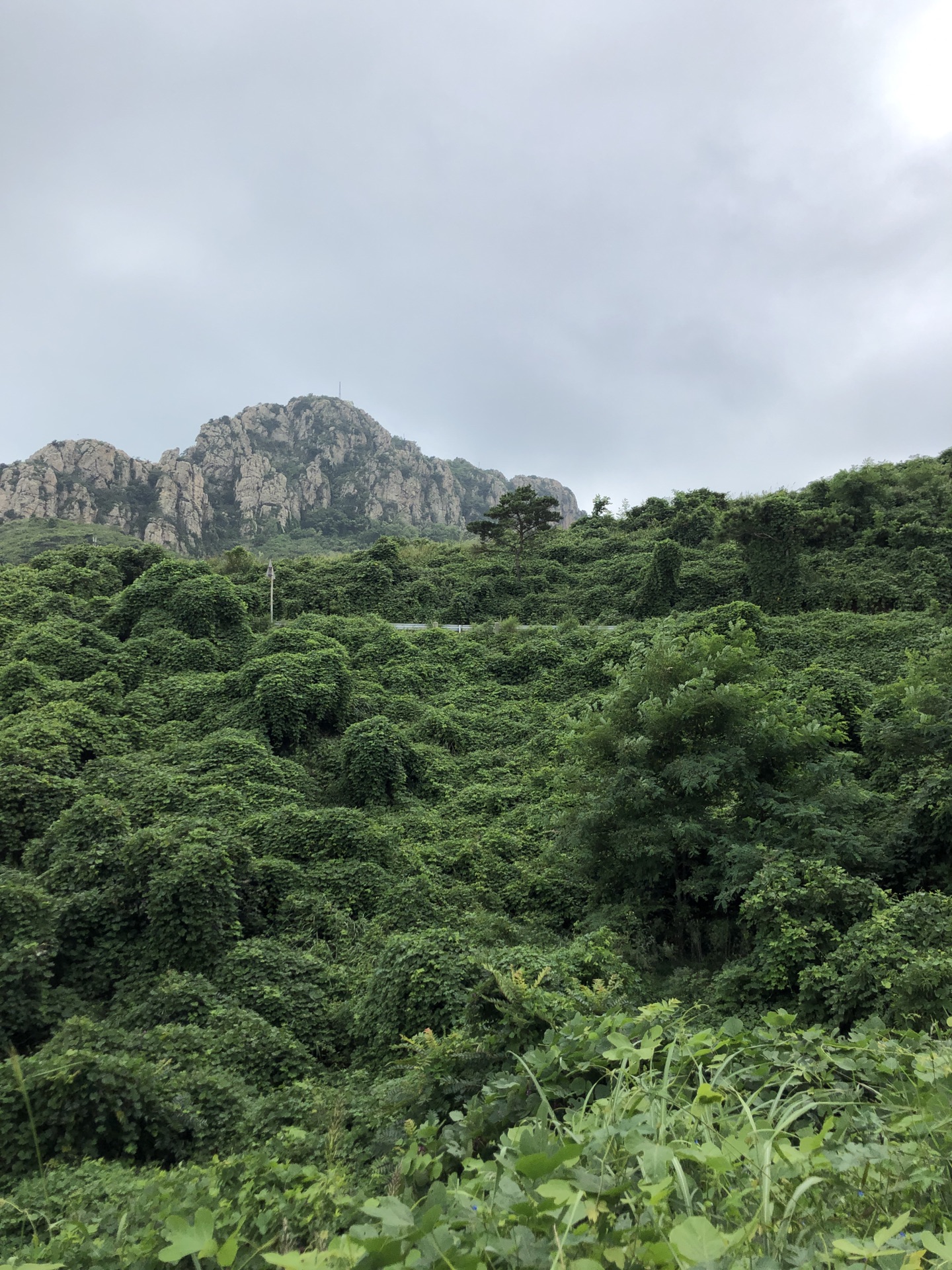 广鹿岛老铁山图片