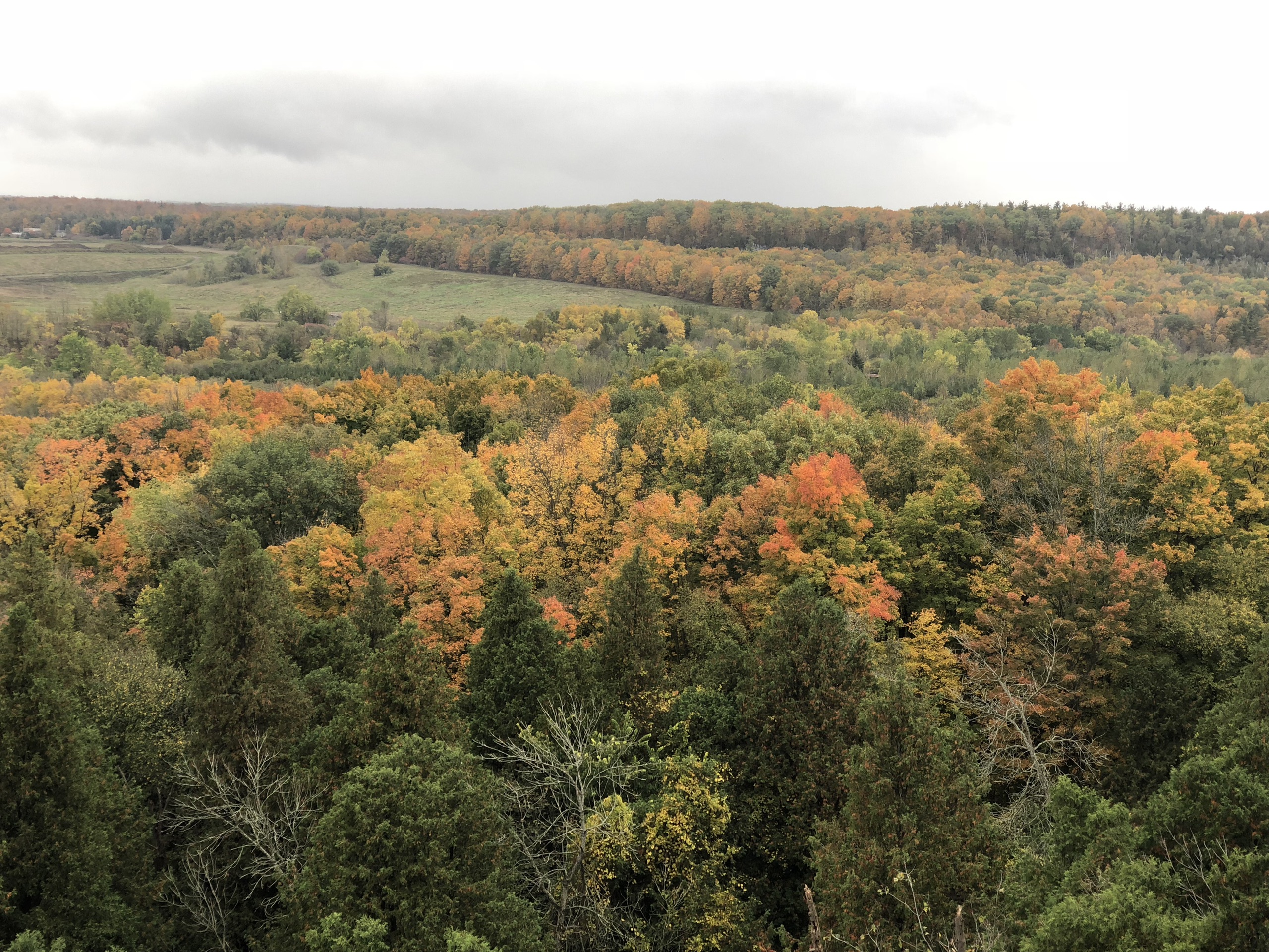 Rattlesnake Point