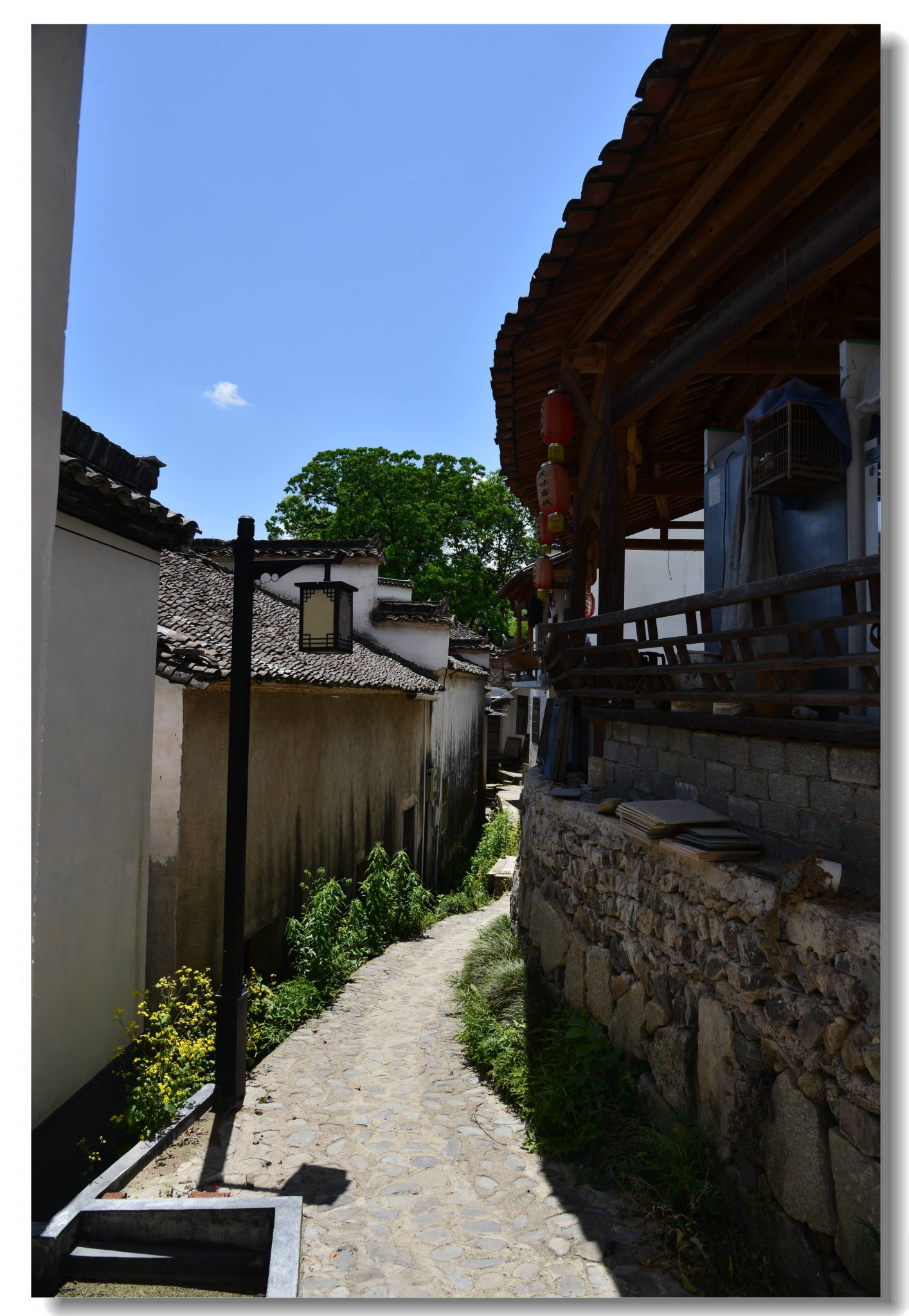 安徽 黄山 黟县 塔川古村