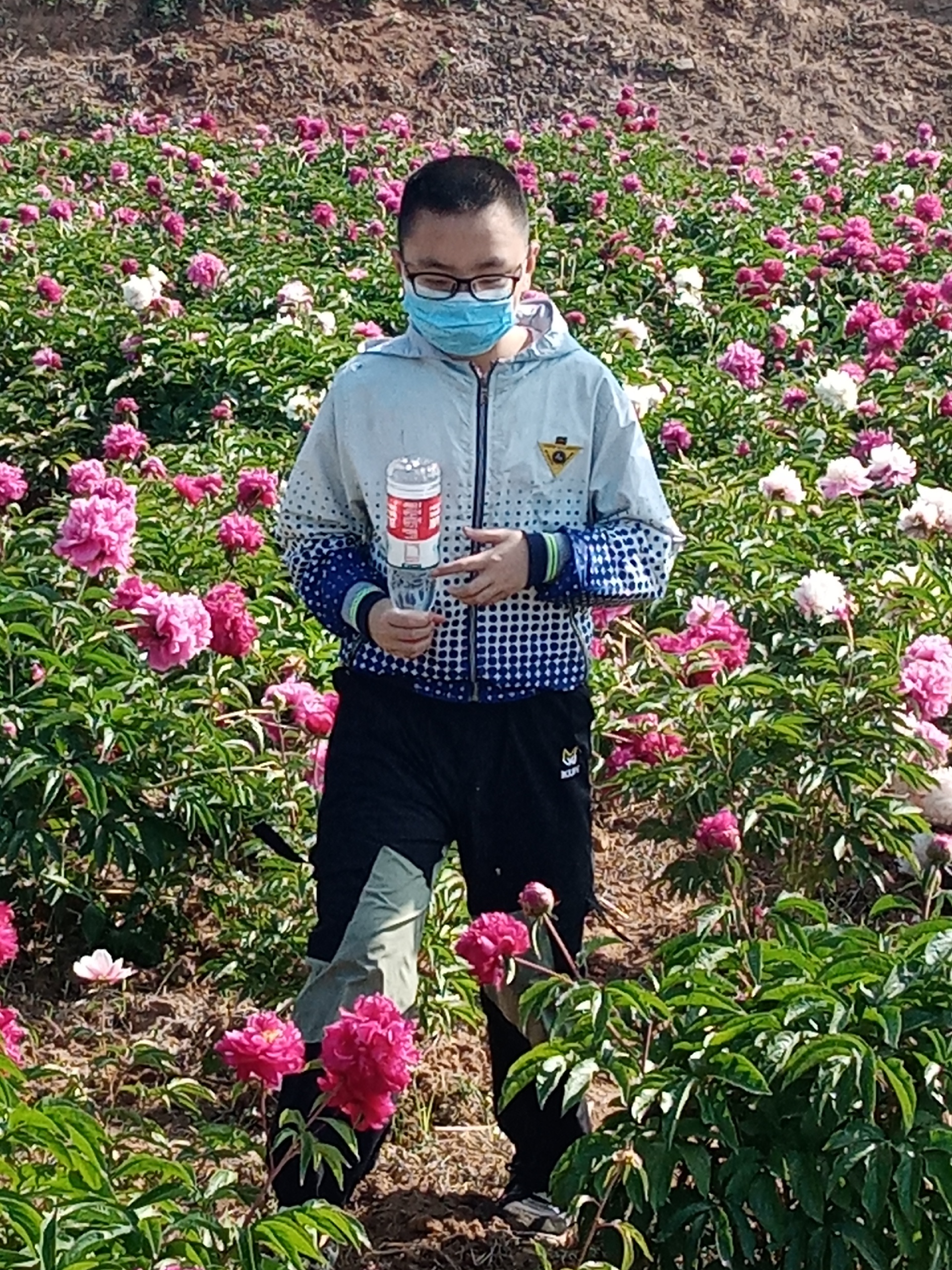 峰峰牡丹谷旅遊圖片,峰峰牡丹谷自助遊圖片,峰峰牡丹谷旅遊景點照片