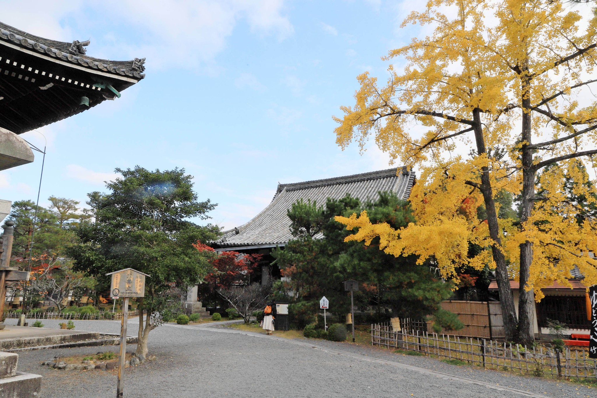 京都自助遊攻略