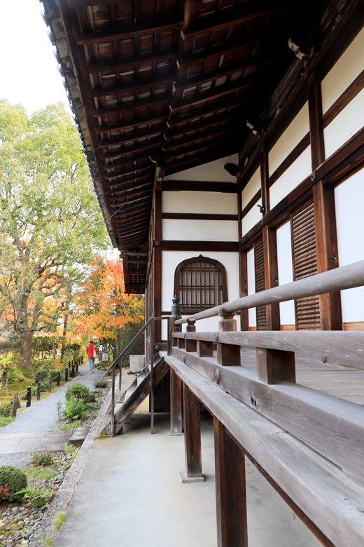 京都自助遊攻略