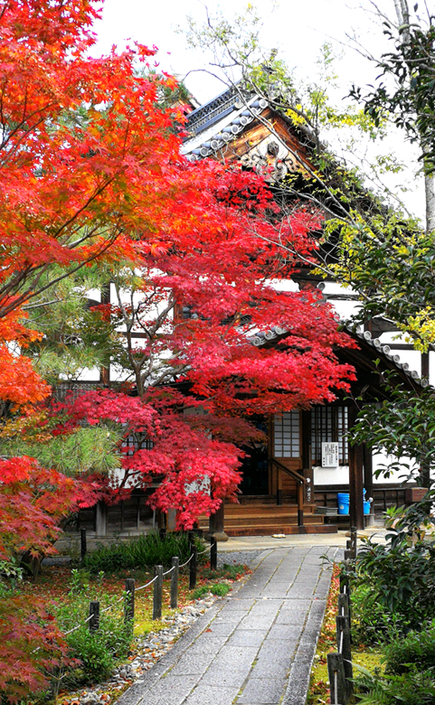 京都自助遊攻略