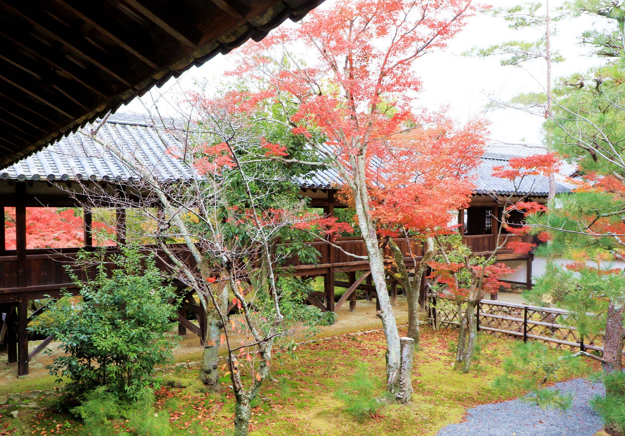 京都自助遊攻略