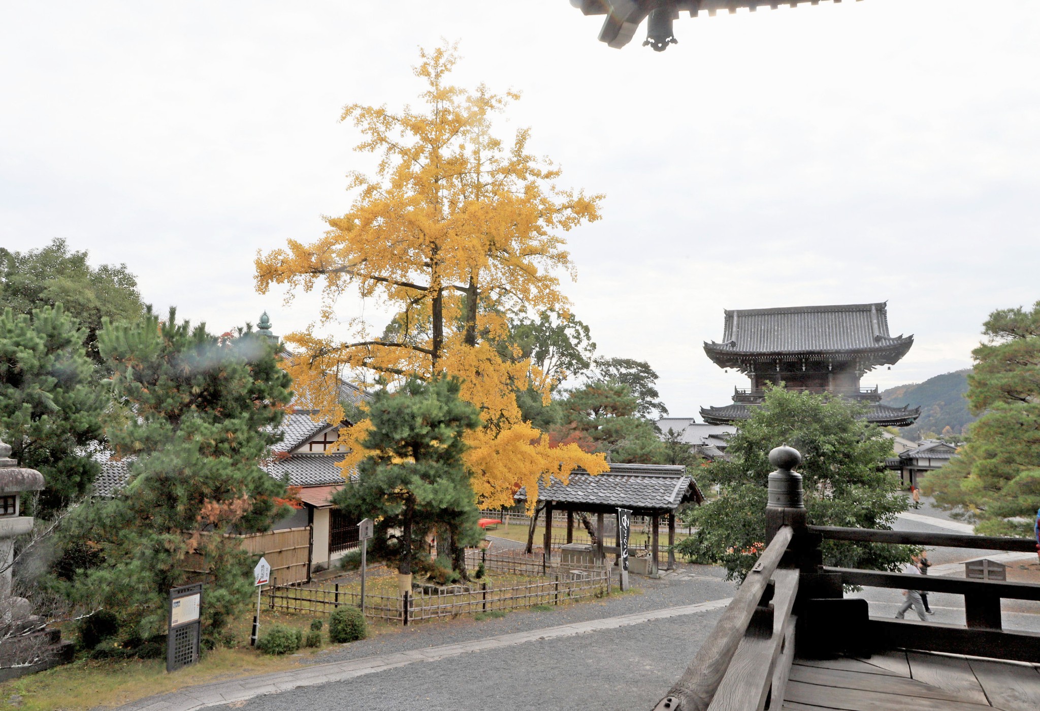 京都自助遊攻略