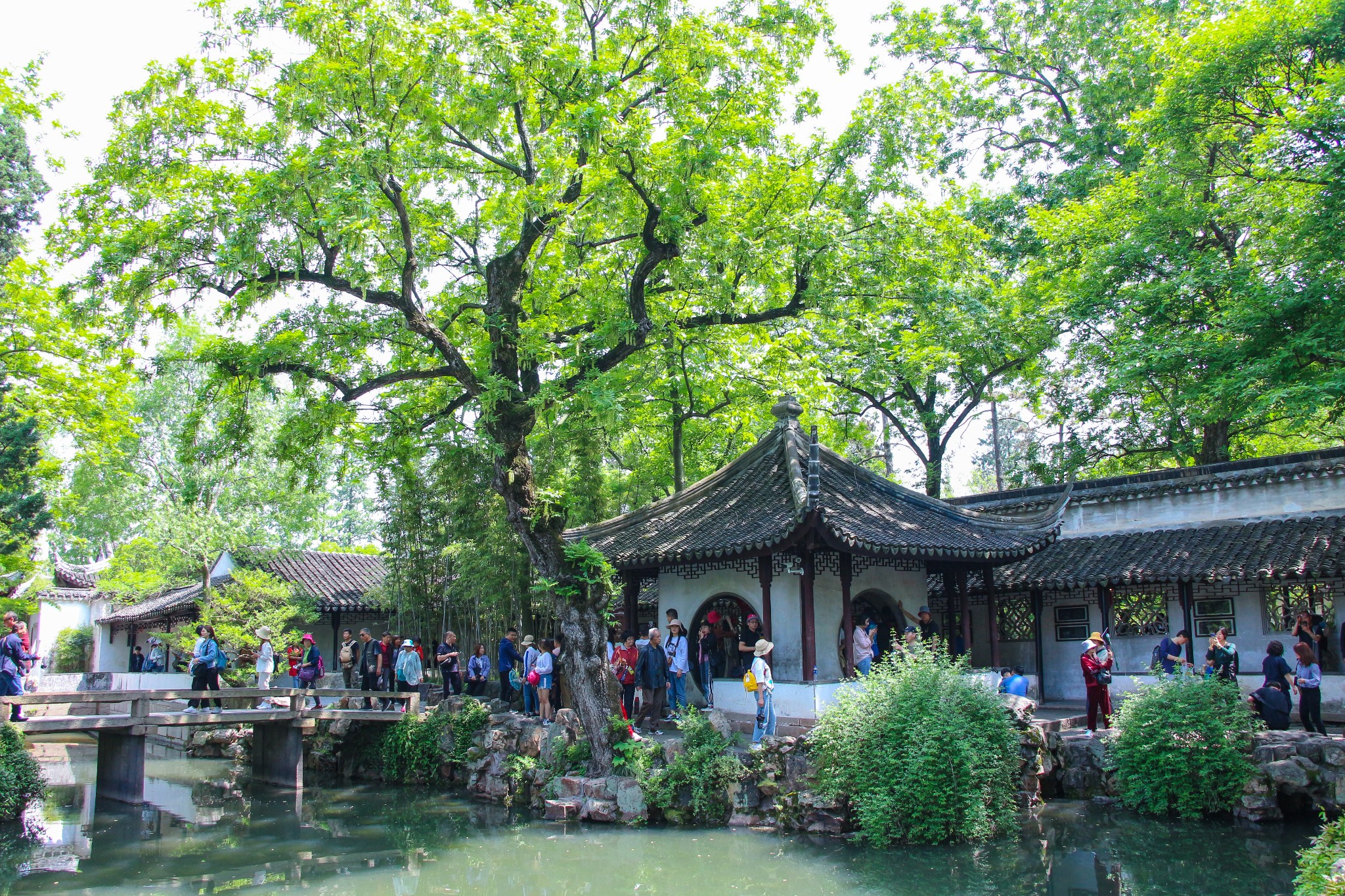 Suzhou The Humble Administrator's Garden