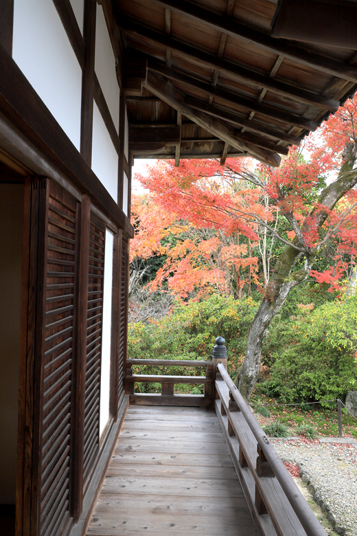 京都自助遊攻略