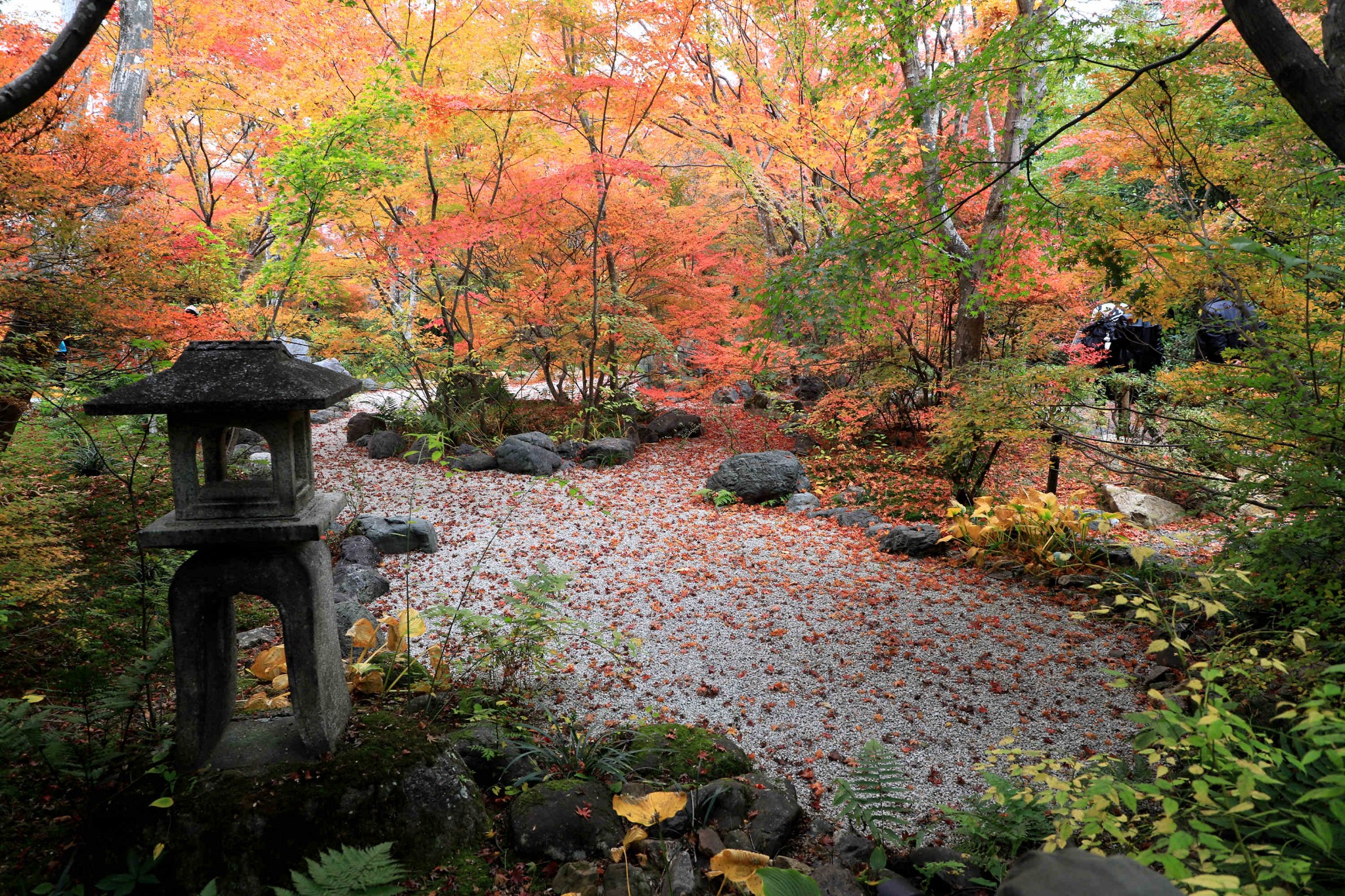 京都自助遊攻略