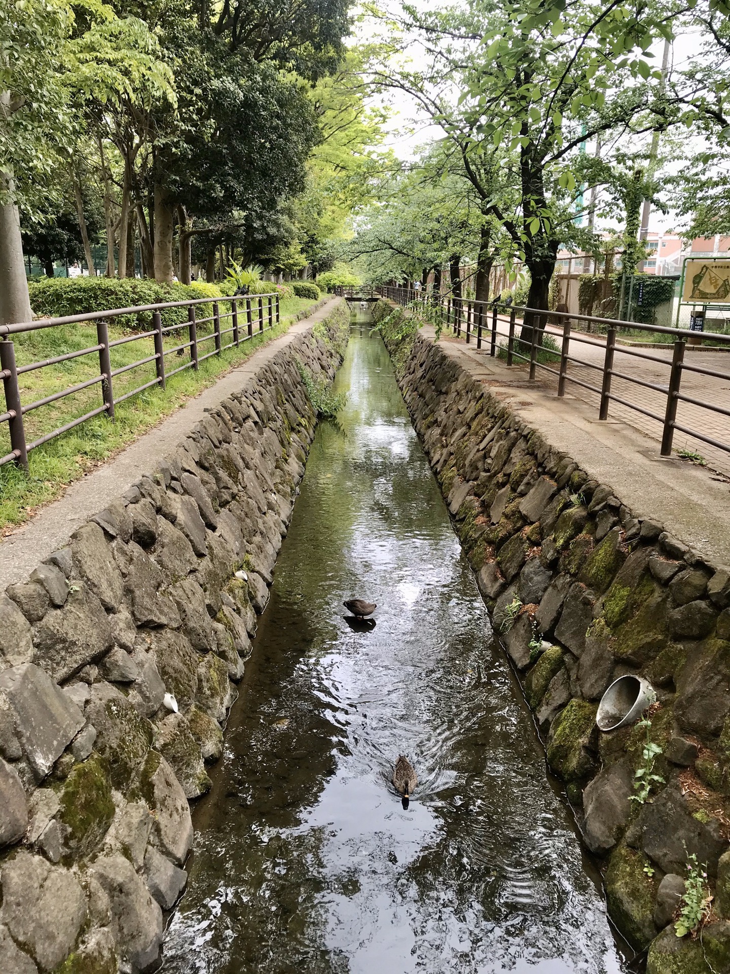 第3页川崎热门游记 川崎自助游游记 川崎旅游热门游记 马蜂窝