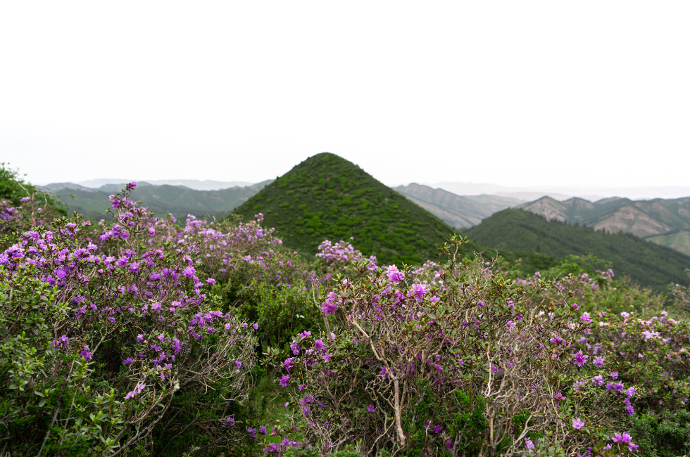 黑马圈河