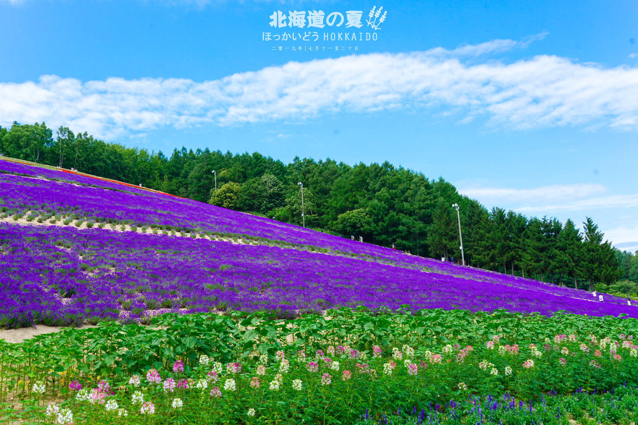 北海道自助遊攻略