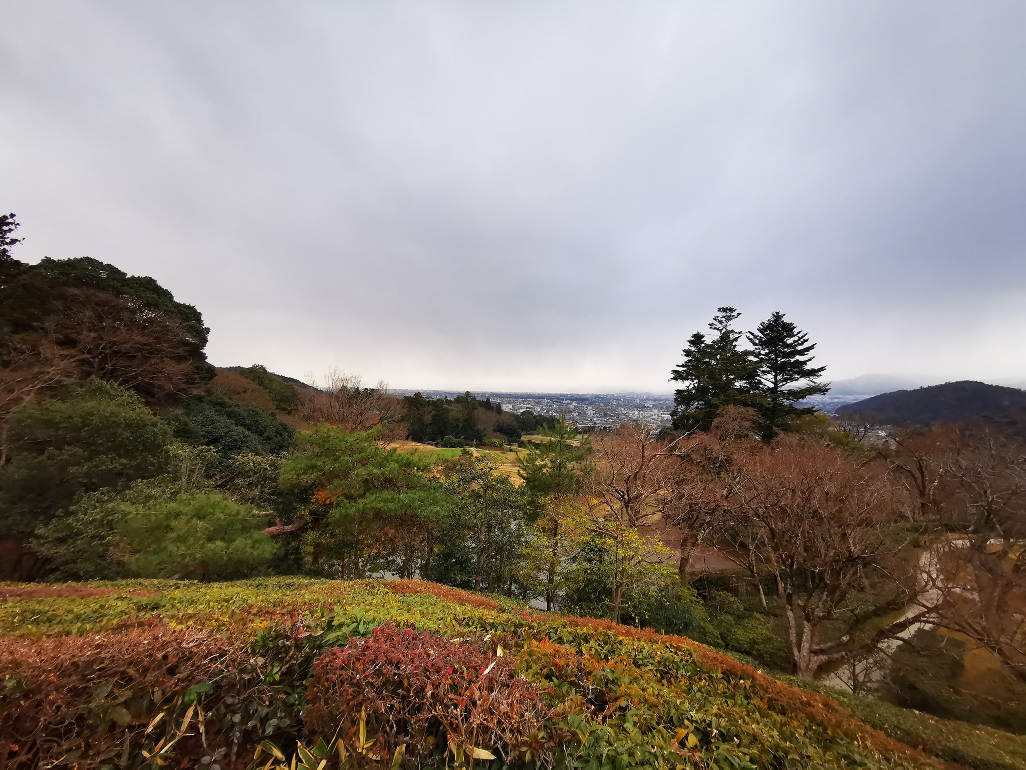 京都自助遊攻略