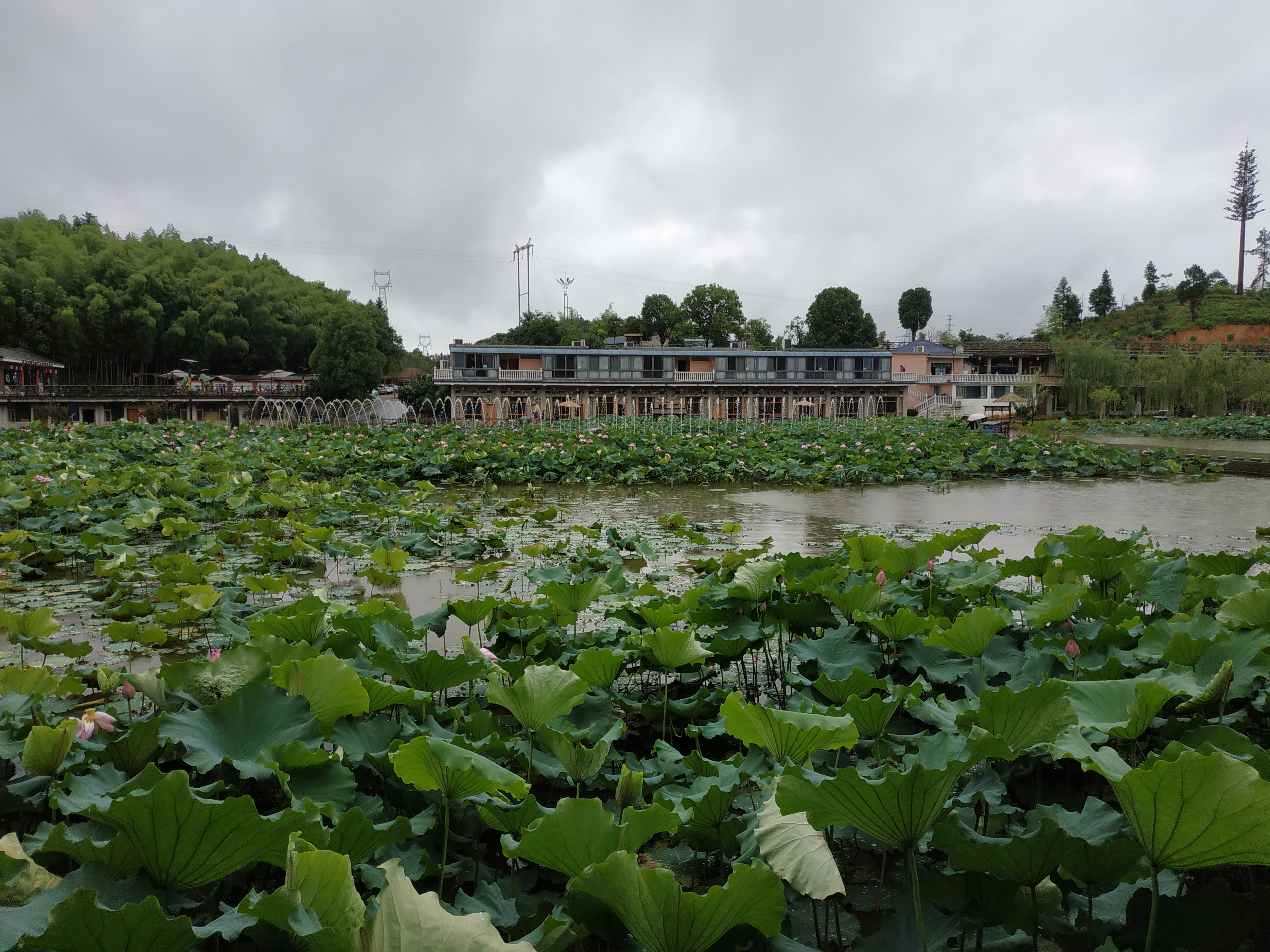 德兴楼上楼攻略,楼上楼门票_地址,楼上楼游览攻略 - 马蜂窝