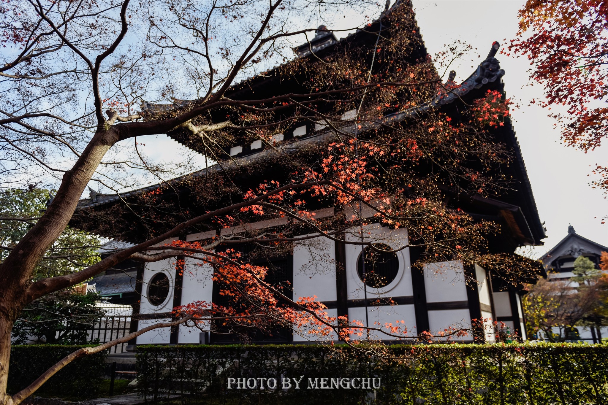 京都自助遊攻略