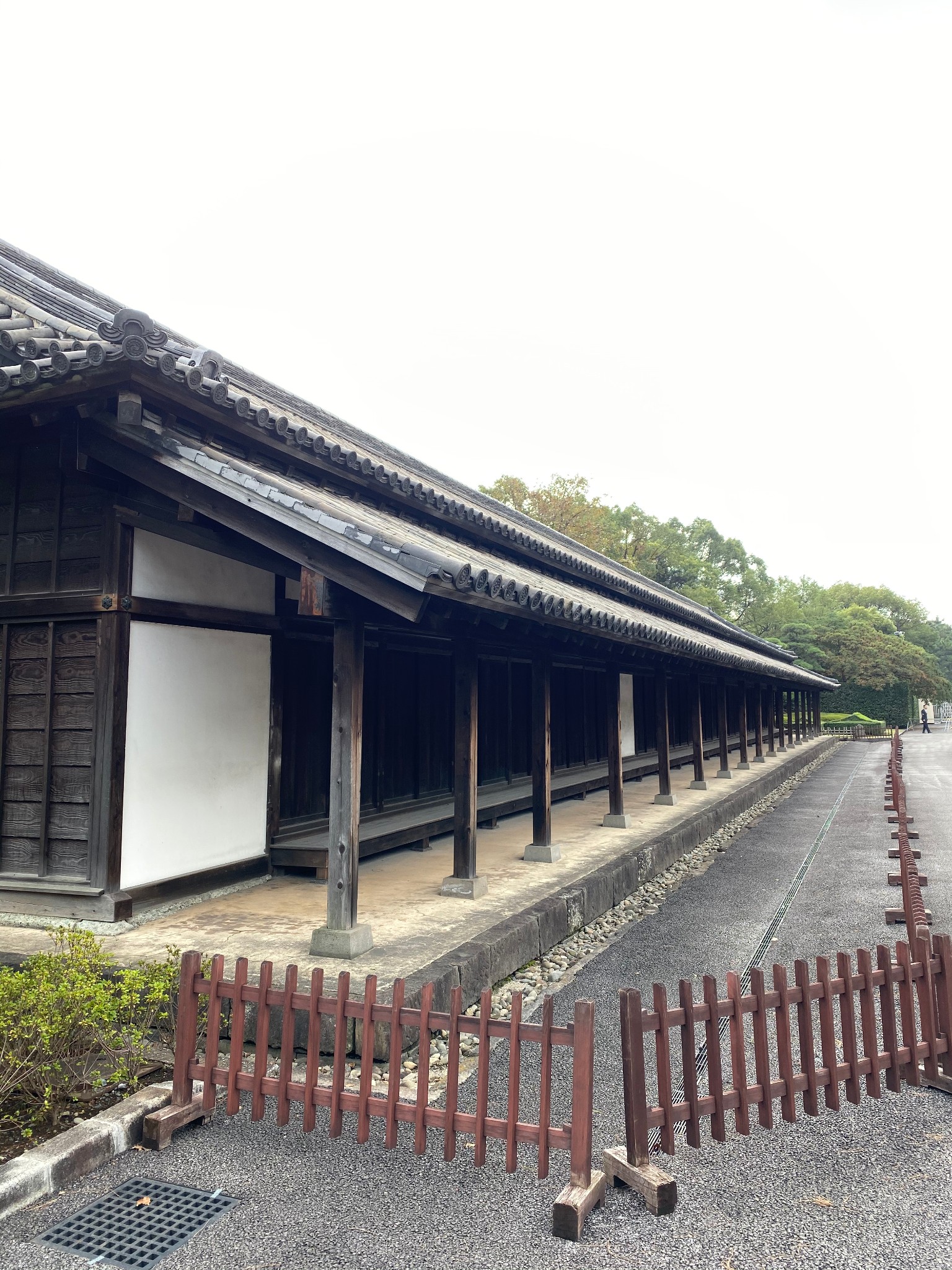 東京自助遊攻略