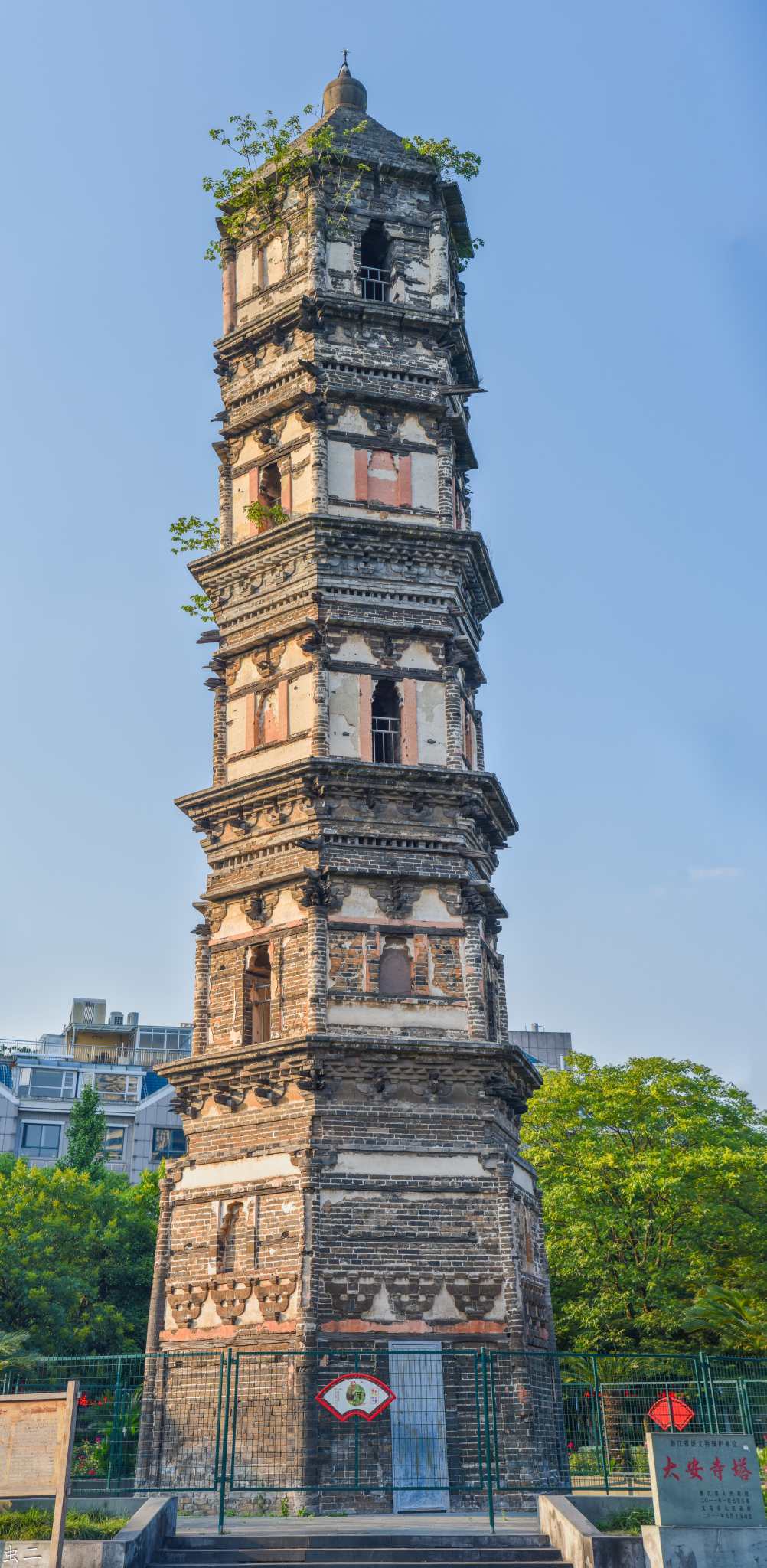 义乌大安寺塔国保古塔巡礼系列之477