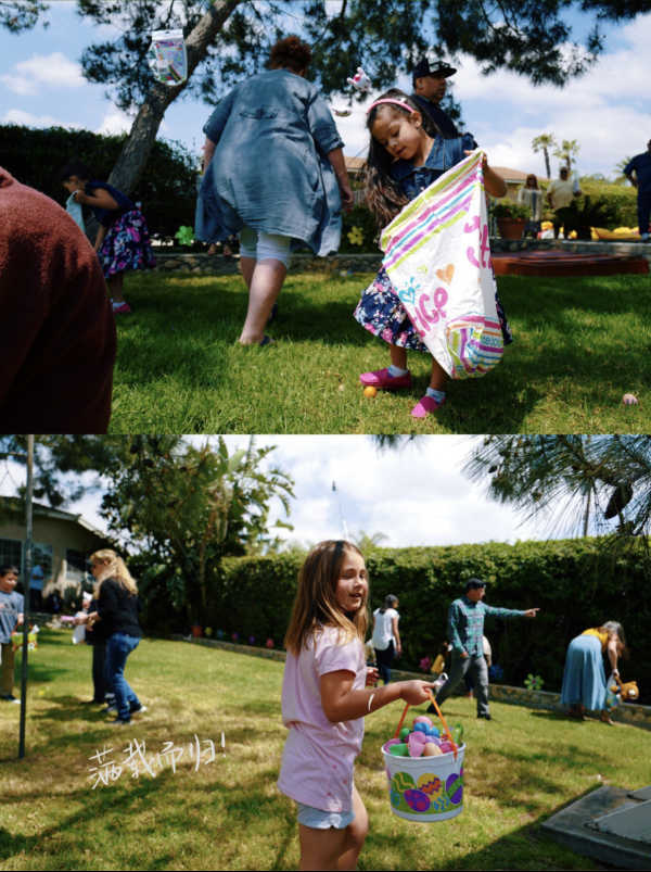 棕榈树留学 棕榈树留学