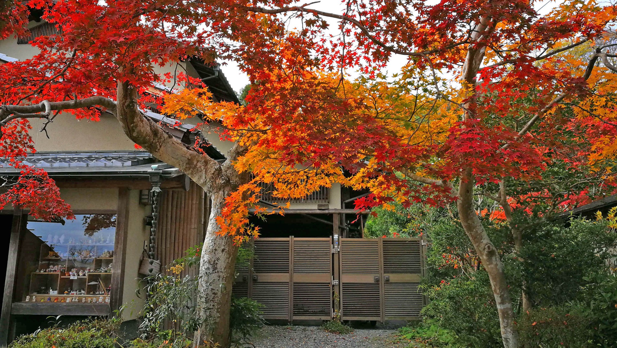 京都自助遊攻略