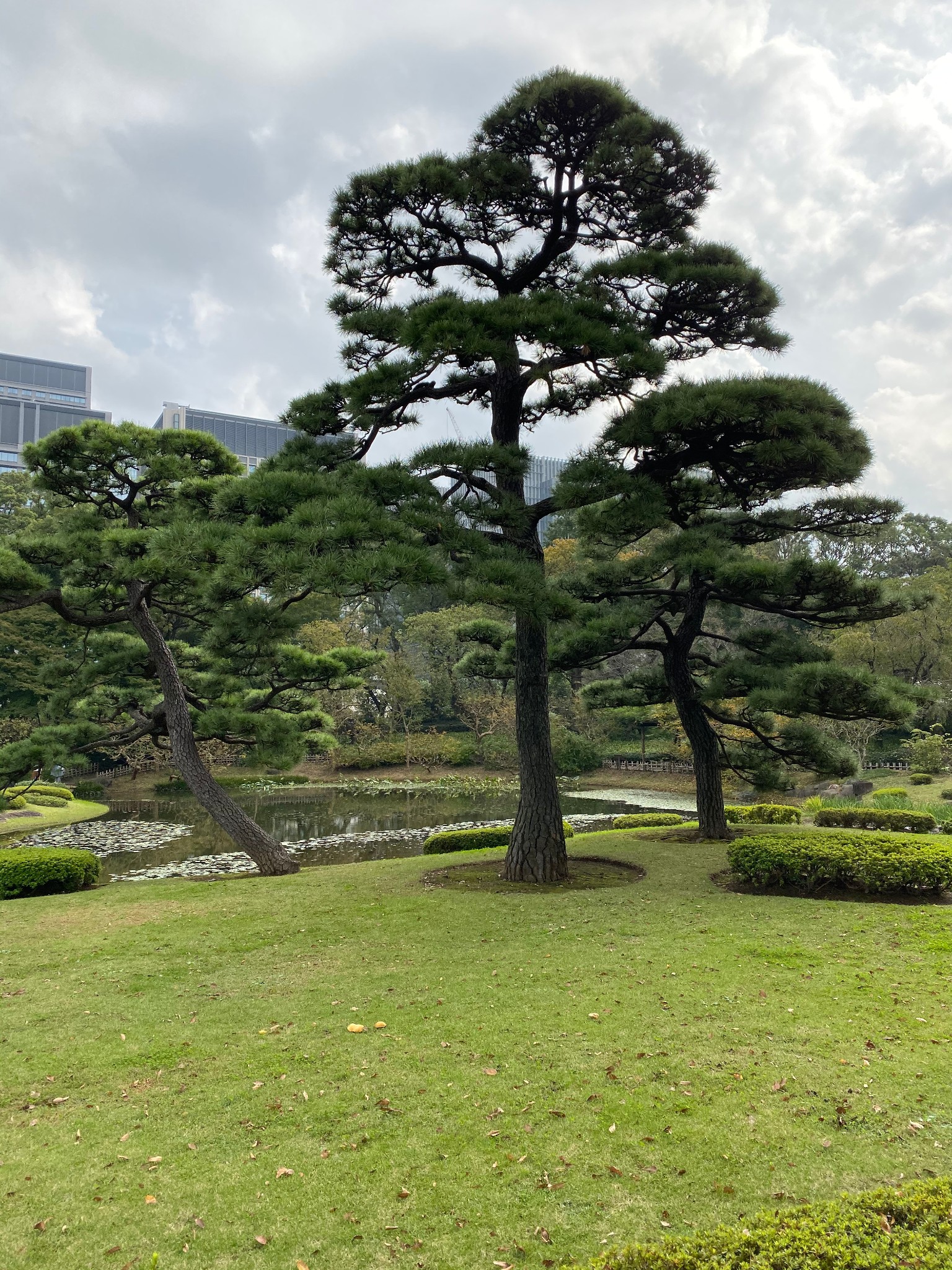 東京自助遊攻略