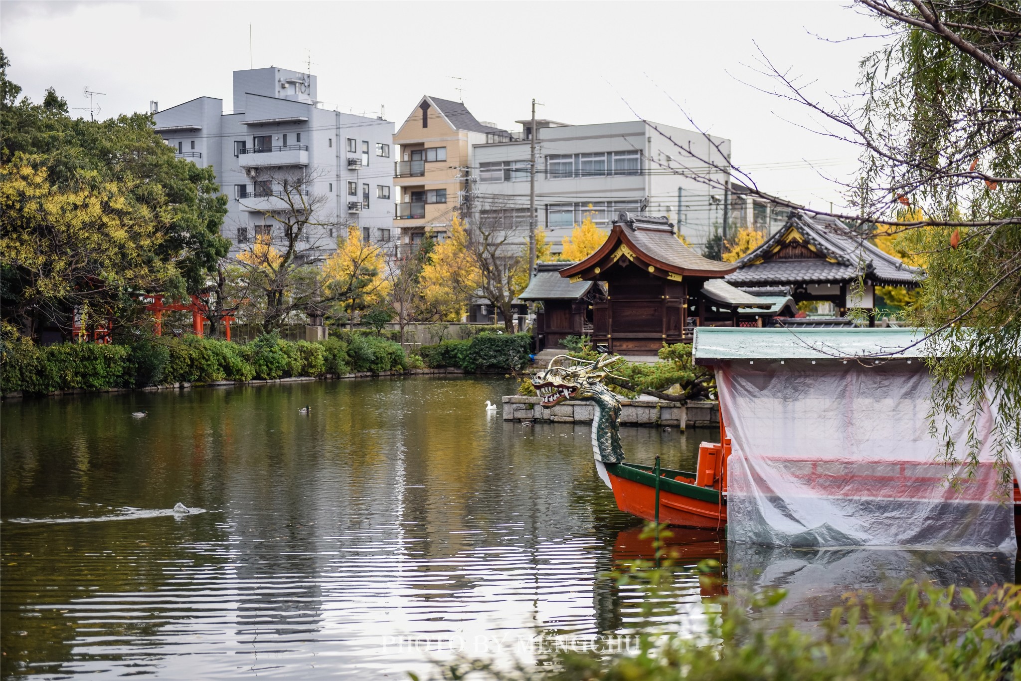 京都自助遊攻略