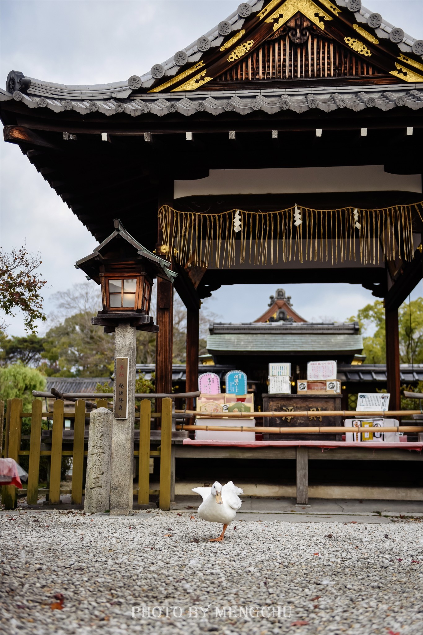 京都自助遊攻略