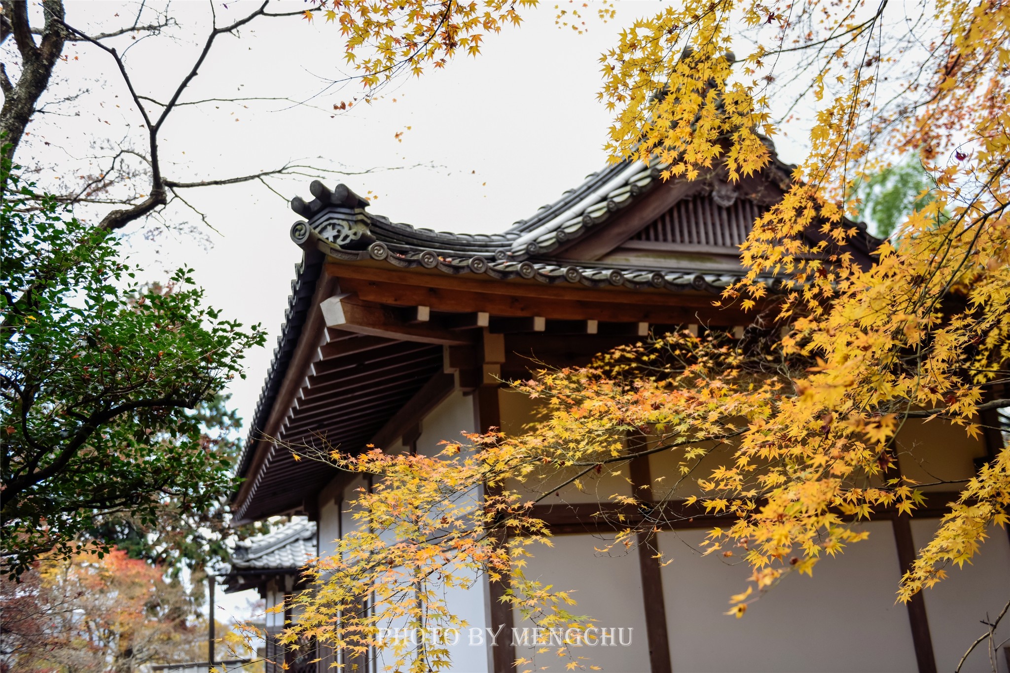 京都自助遊攻略