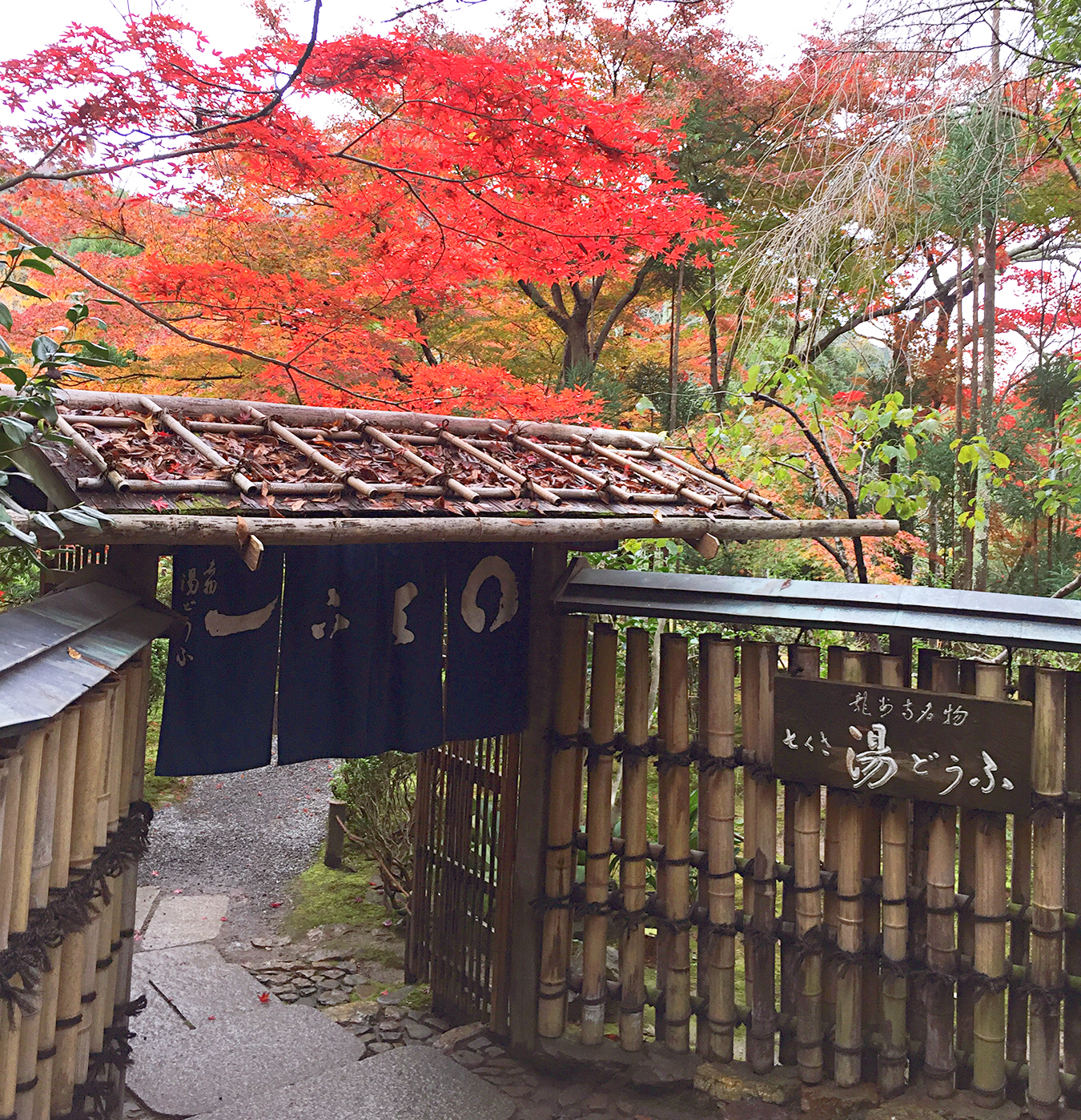 京都自助遊攻略