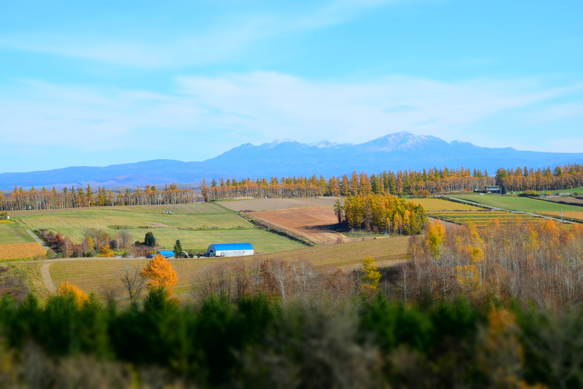 北海道自助遊攻略