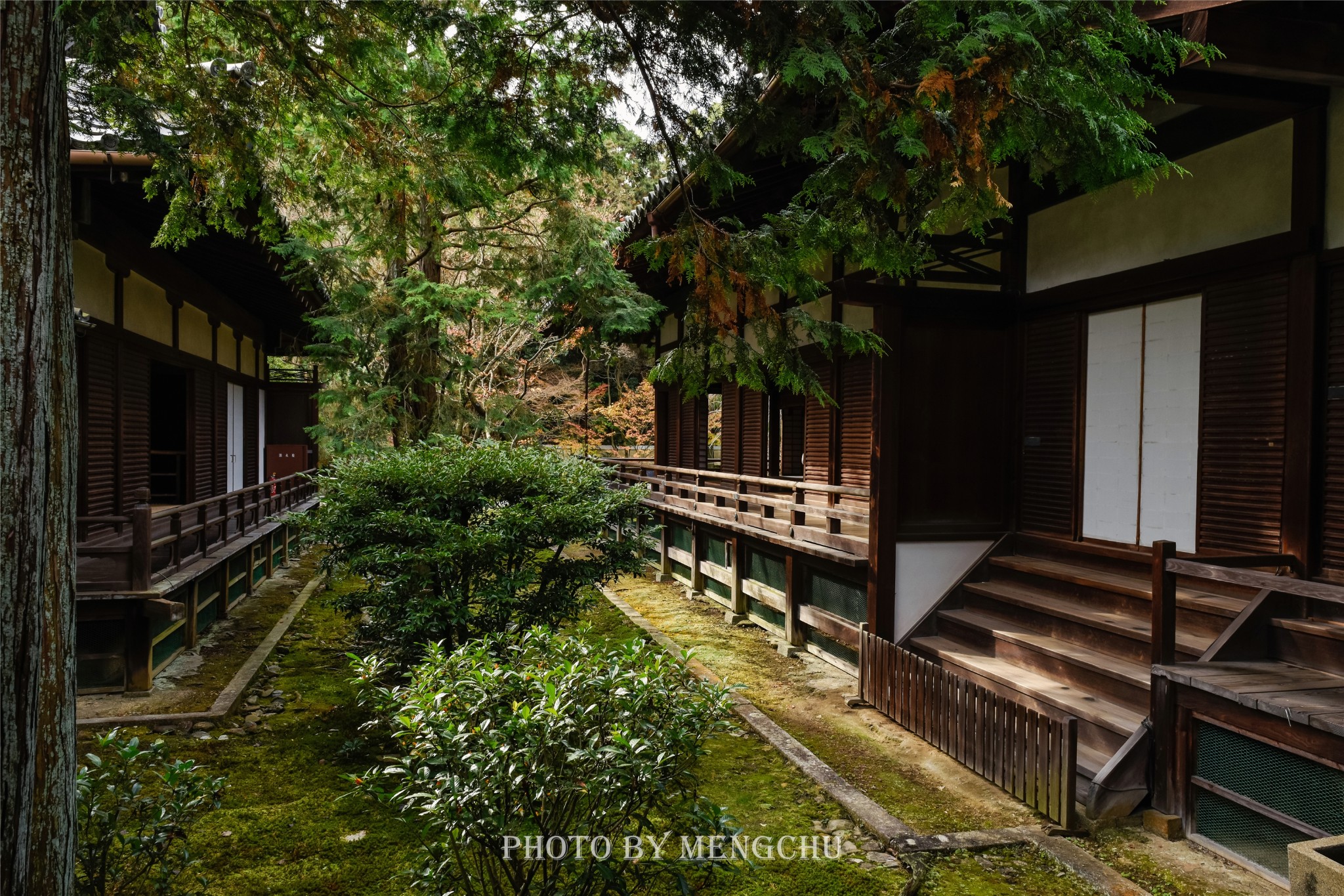 京都自助遊攻略