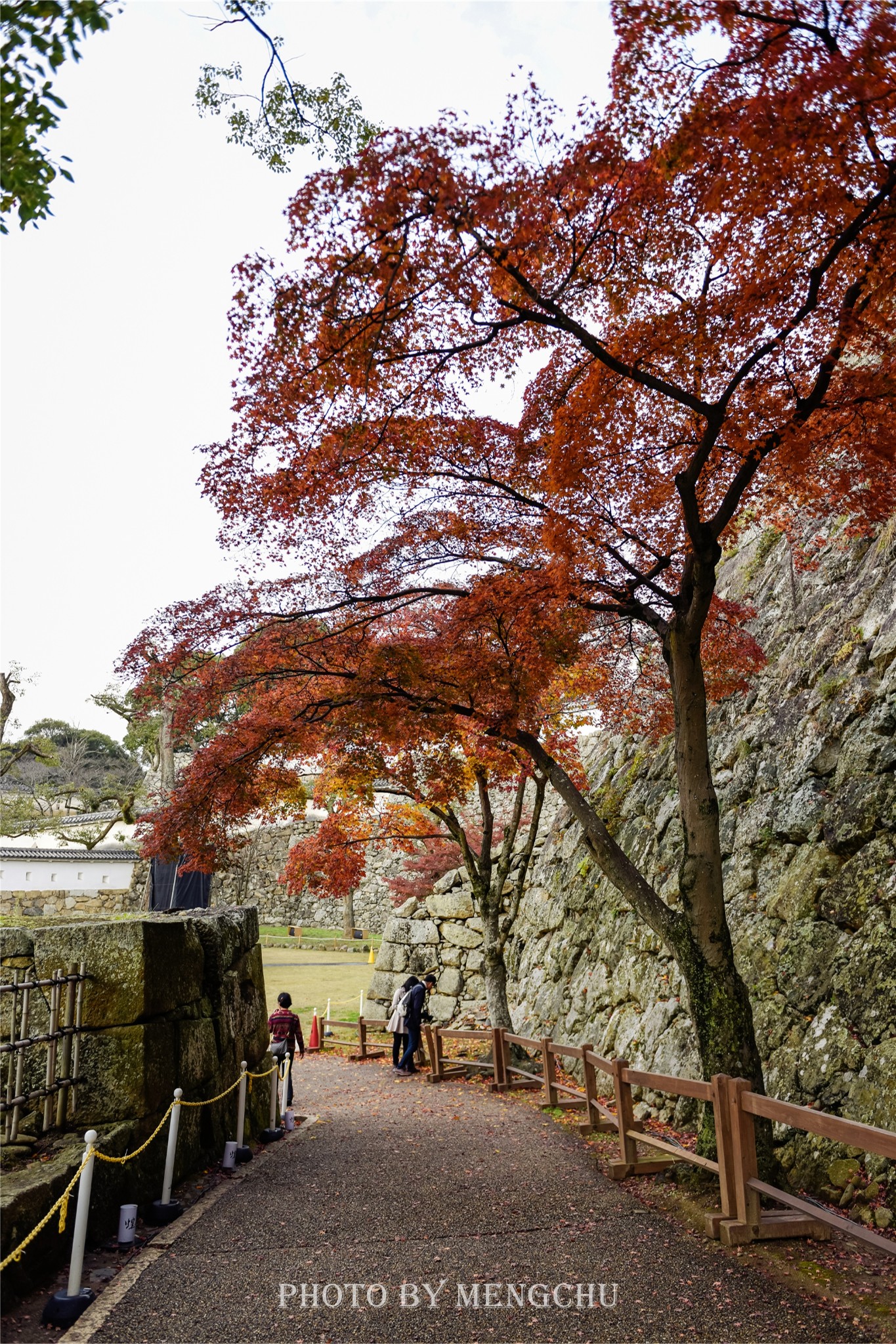 京都自助遊攻略