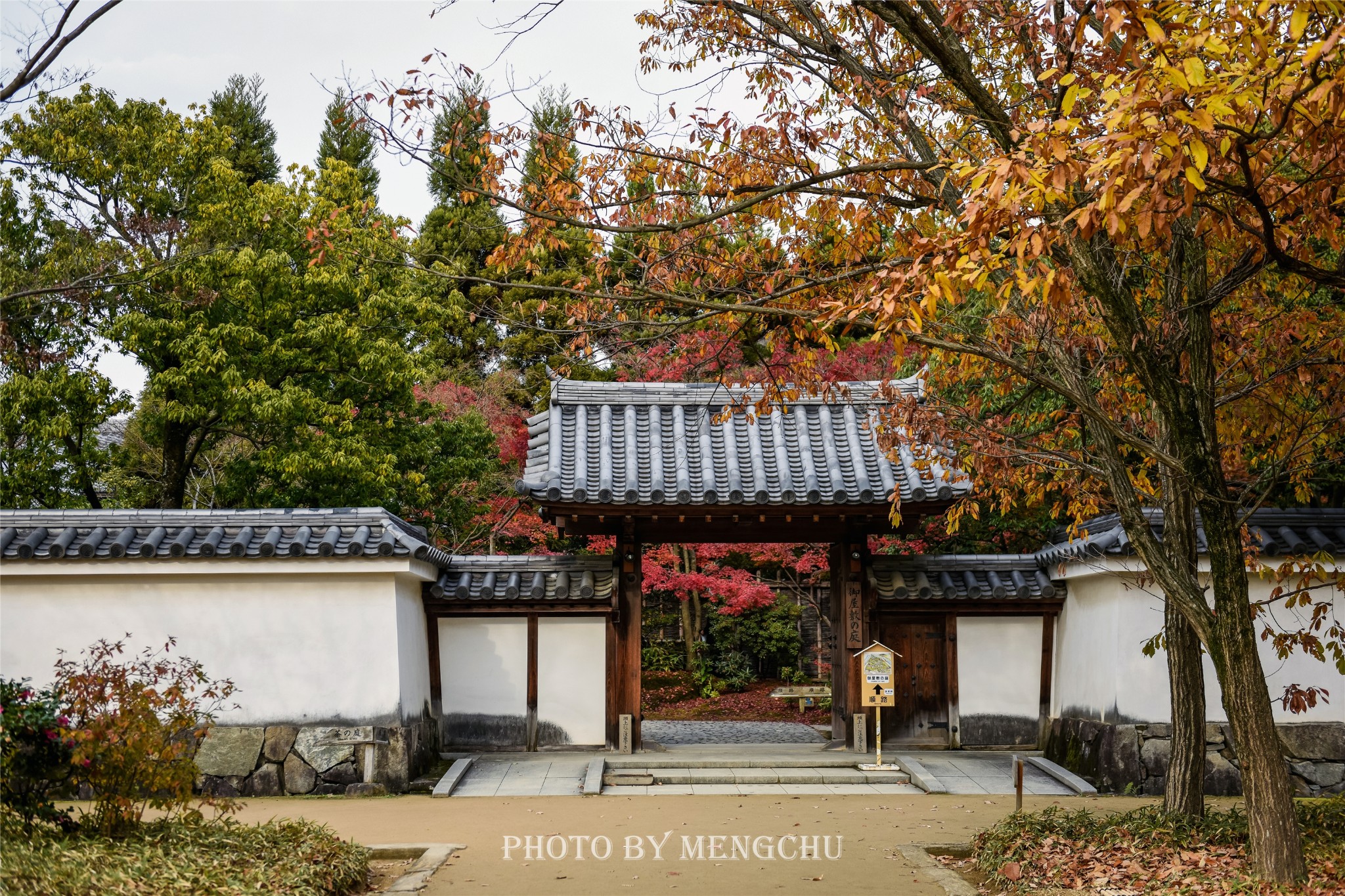 京都自助遊攻略