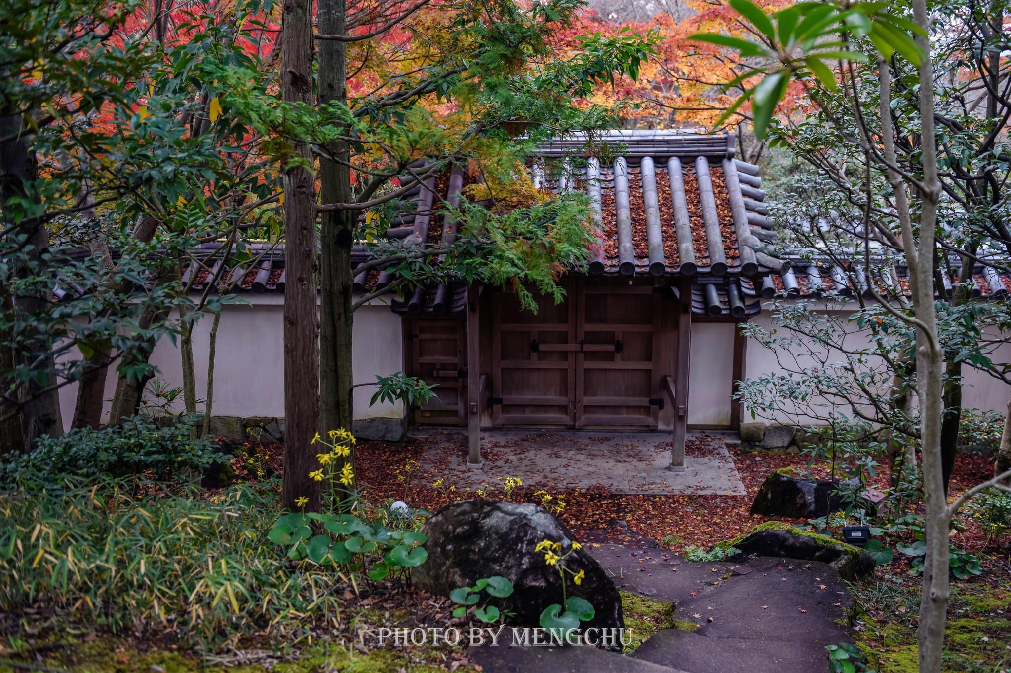 京都自助遊攻略