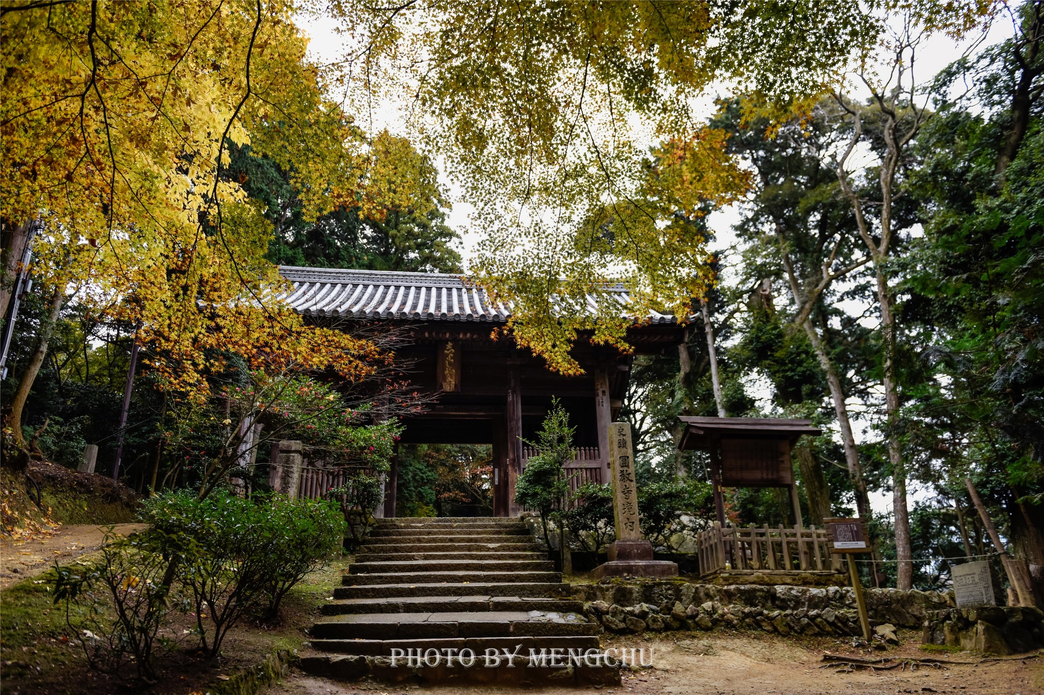 京都自助遊攻略