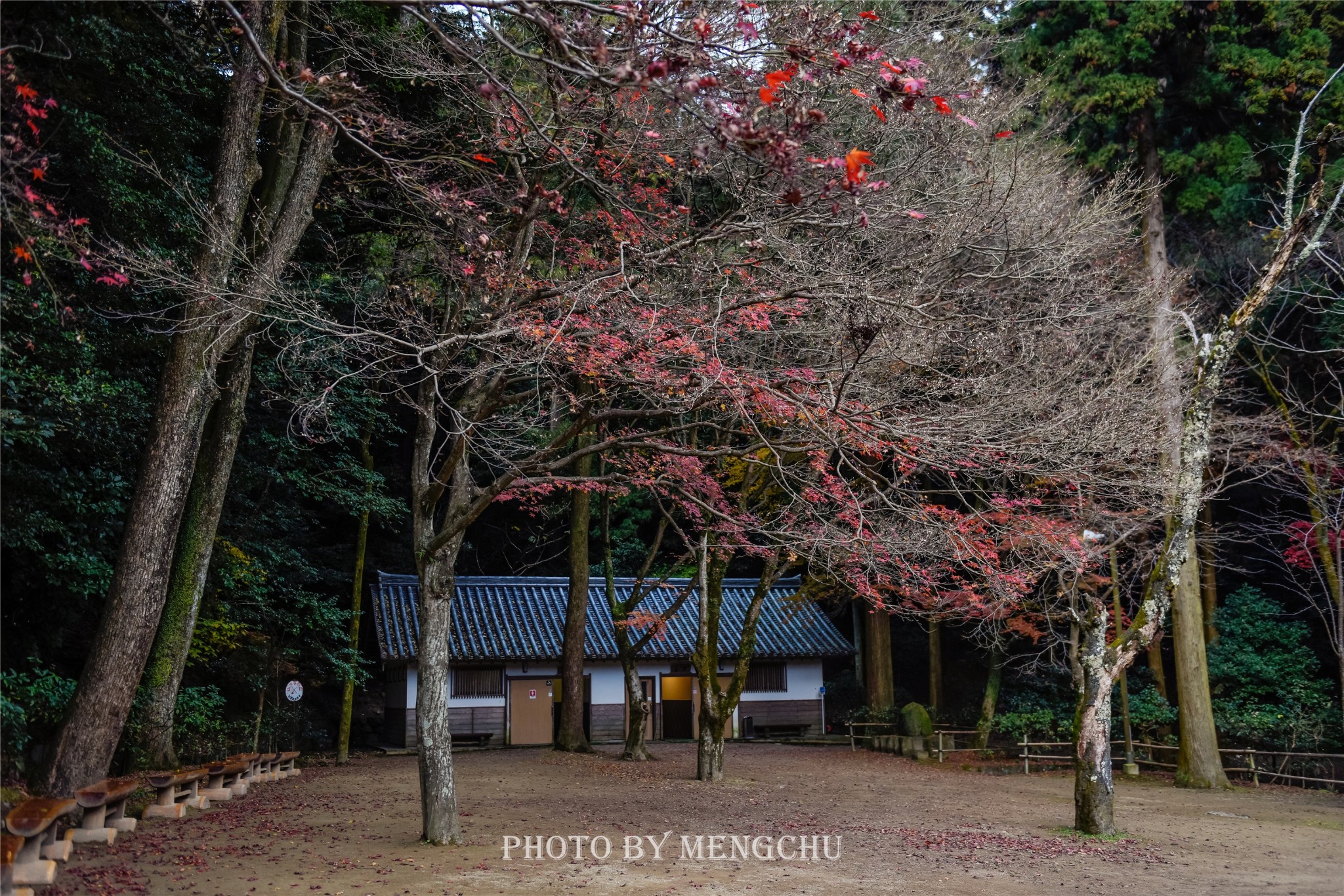 京都自助遊攻略