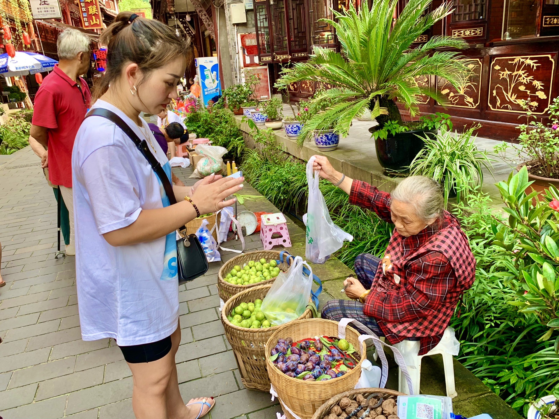 都江堰自助遊攻略