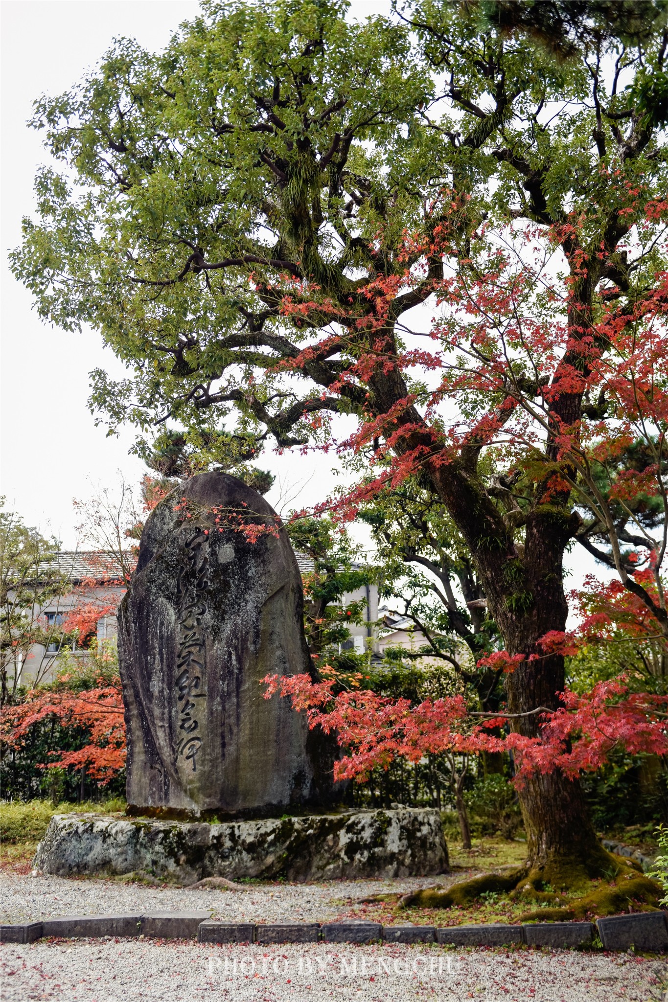 京都自助遊攻略